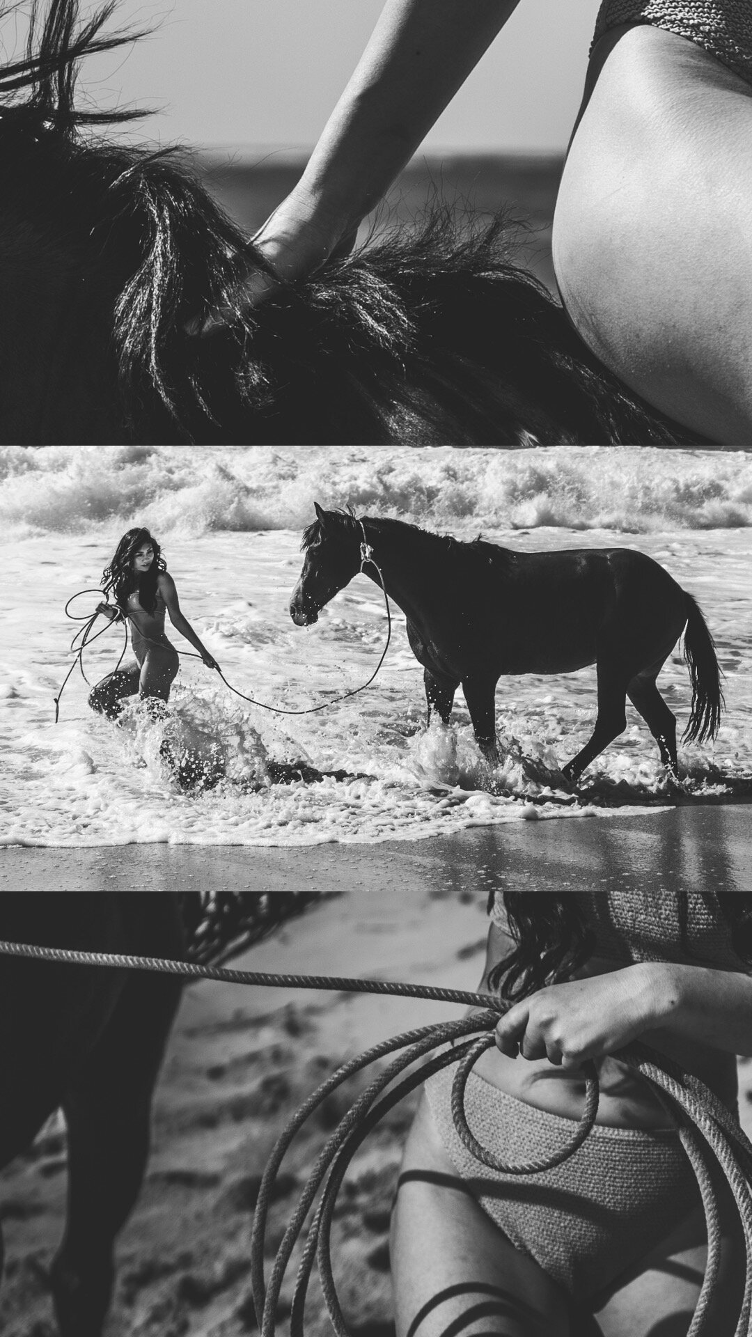 Horse Beach Hawaii Portrait 
