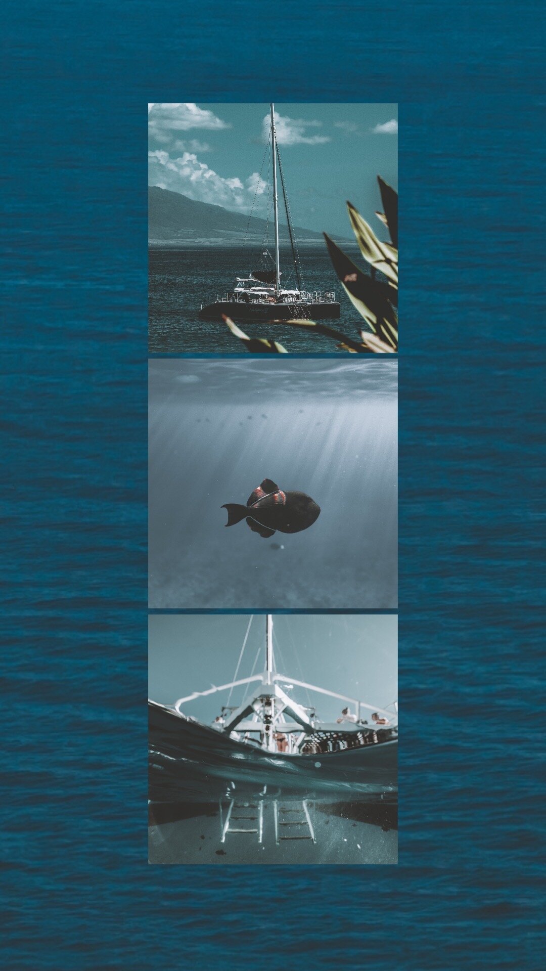 Sailboat Maui Molokini 