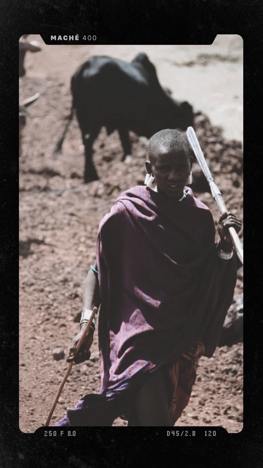 Maasai Warrior 