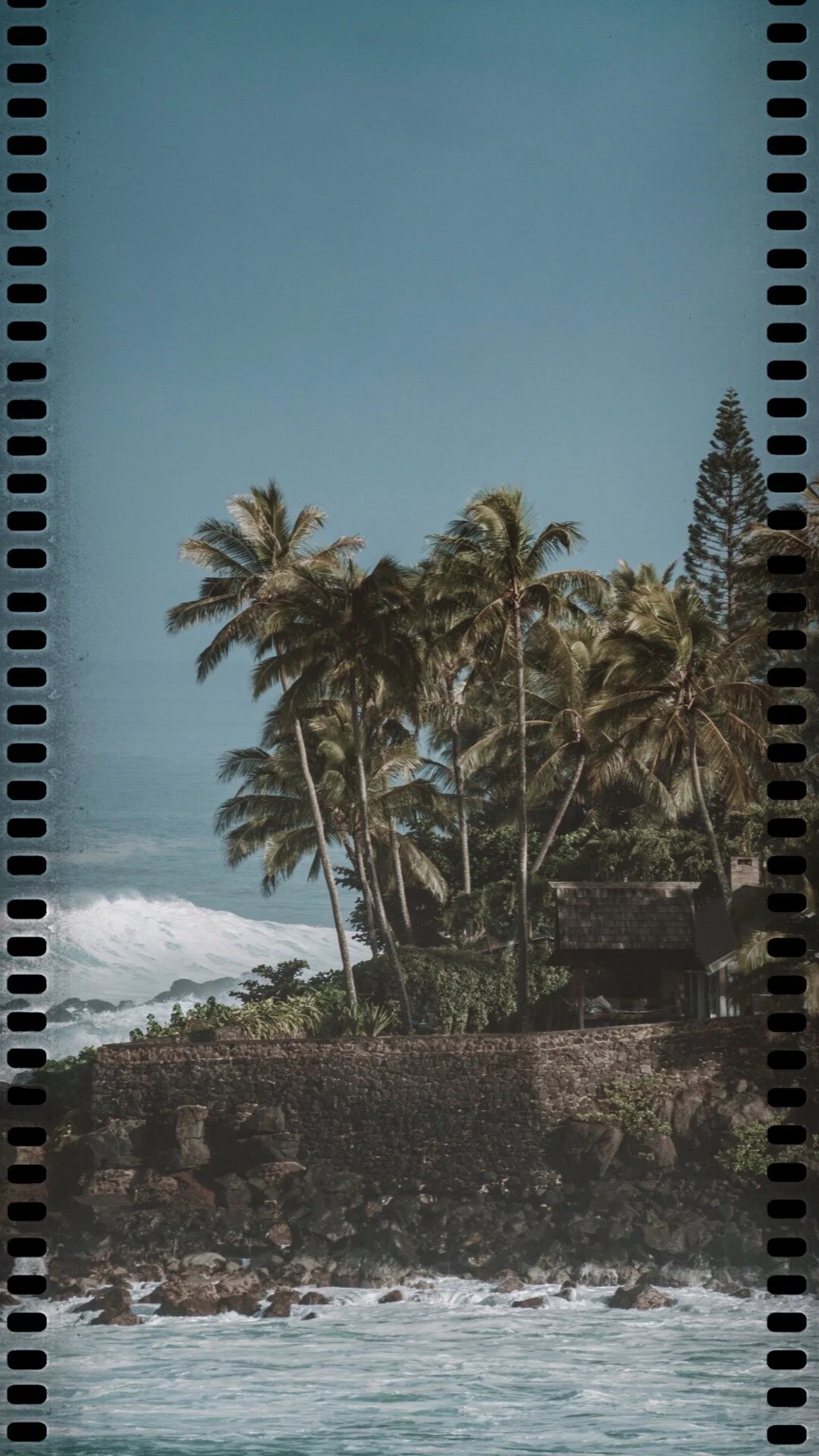 Waimea Bay Oahu Hawaii 