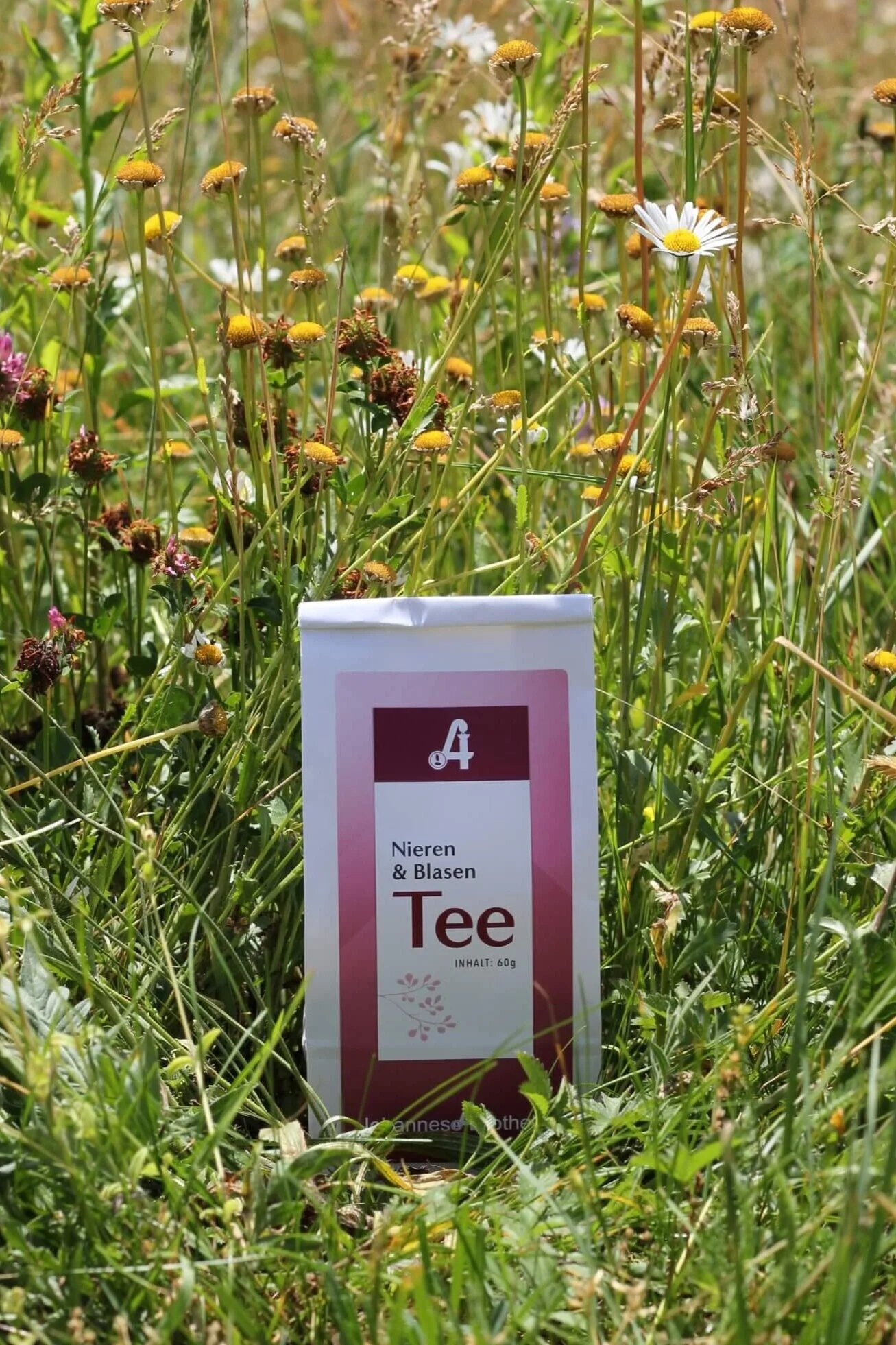Nieren & Blasen Tee