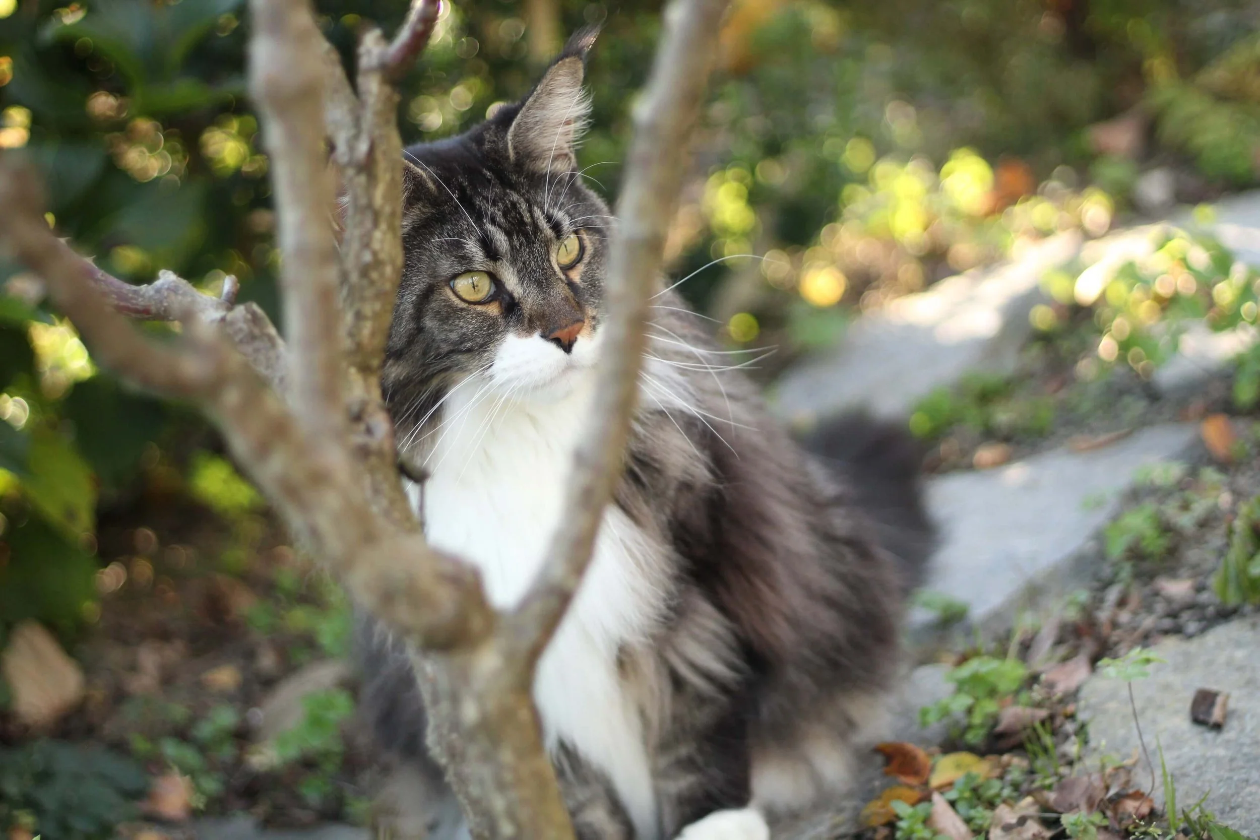 Schutz vor Parasiten