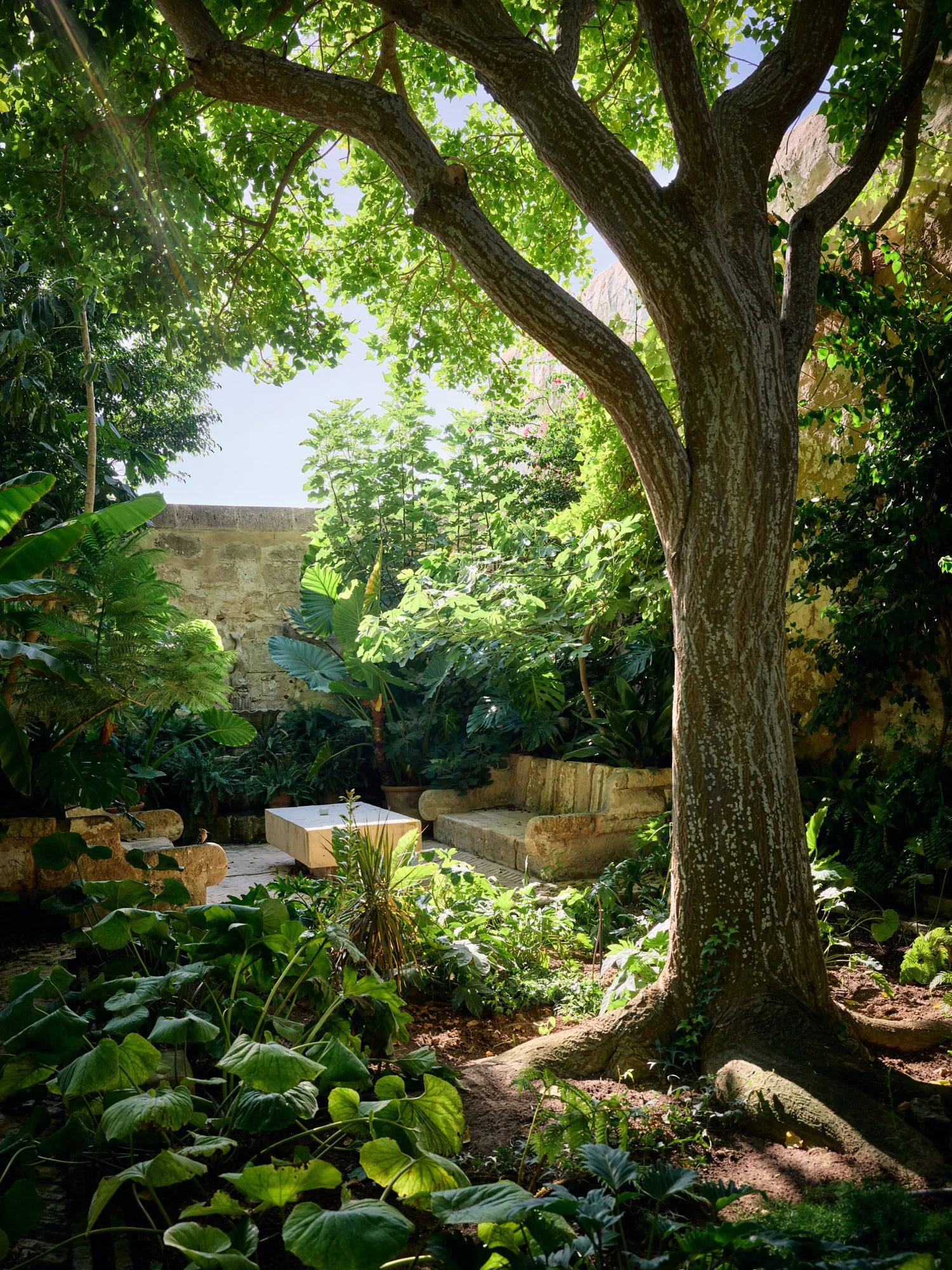 RashidJohnsonStudio_Laplace_Daniel_Schaefer_Studio_011_web_web2000px.jpg