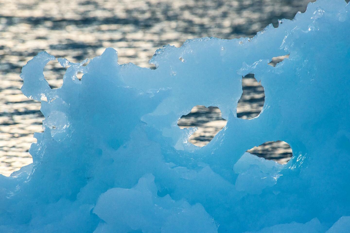 What aspect of your career as a marine guide in Canada 🇨🇦 do you value most? 

Is it the outdoor work in an ever-changing environment? 
Is it the ongoing test of your technical skills or the desire to be on or around the water as much as possible? 