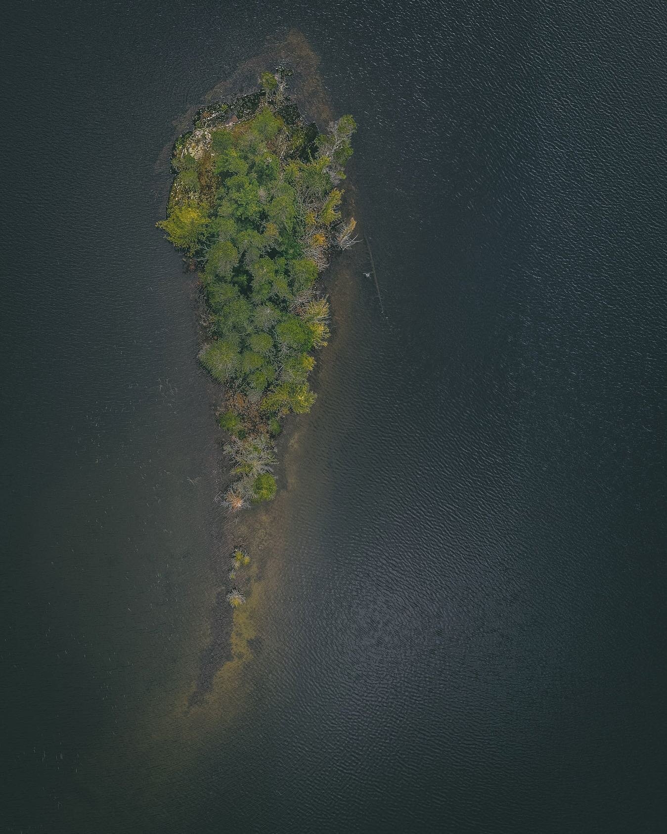 Do you ever feel like you&rsquo;re out there on your own as a marine guide in Canada? 🏝 

Look no further! 👀 
The proposed Marine Guides Association of Canada is picking up steam. In order to do so, we need your feedback!

We developed a survey (ch