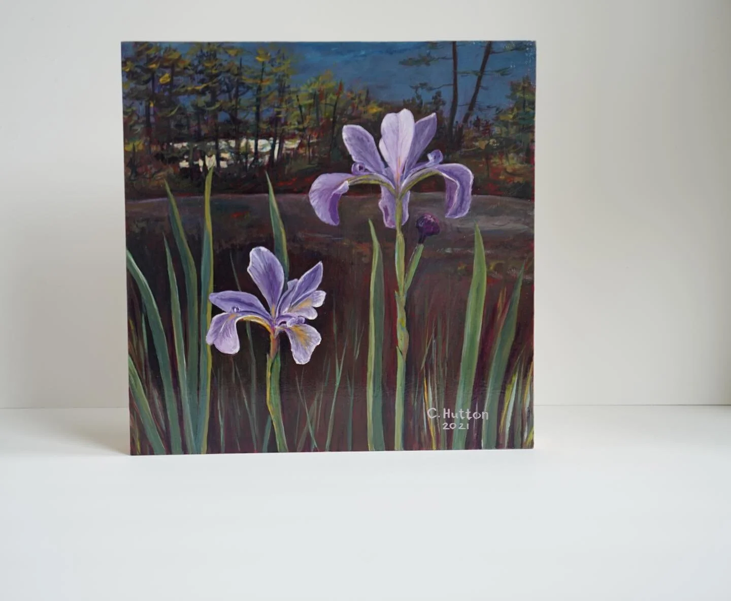 Maggie spent some time helping me take some new photos of some  paintings this afternoon #paints #acrylicpainting