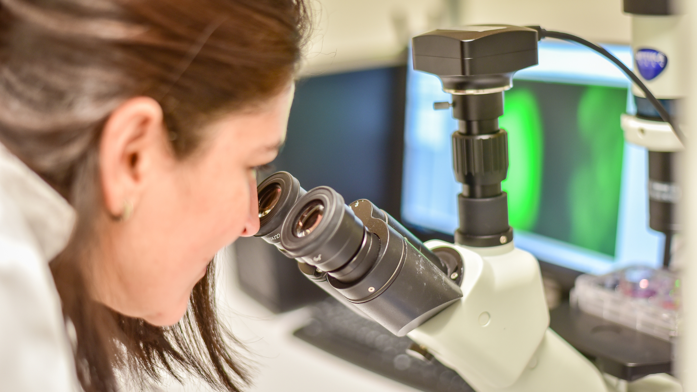 ¿Cómo podemos aumentar la producción de células madres?