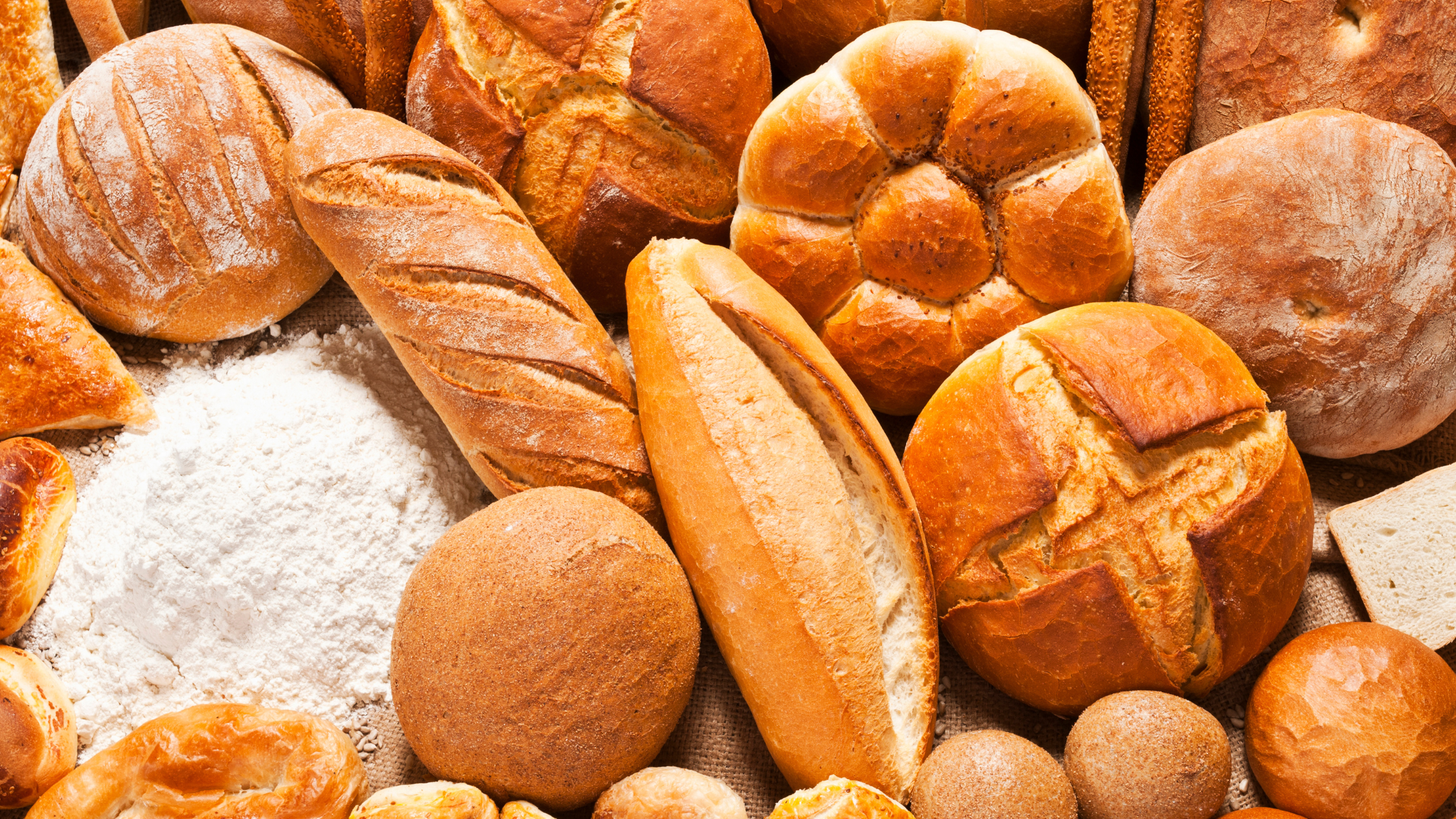 chapulin — Rosa López Monís - Bióloga Molecular y Nutricionista