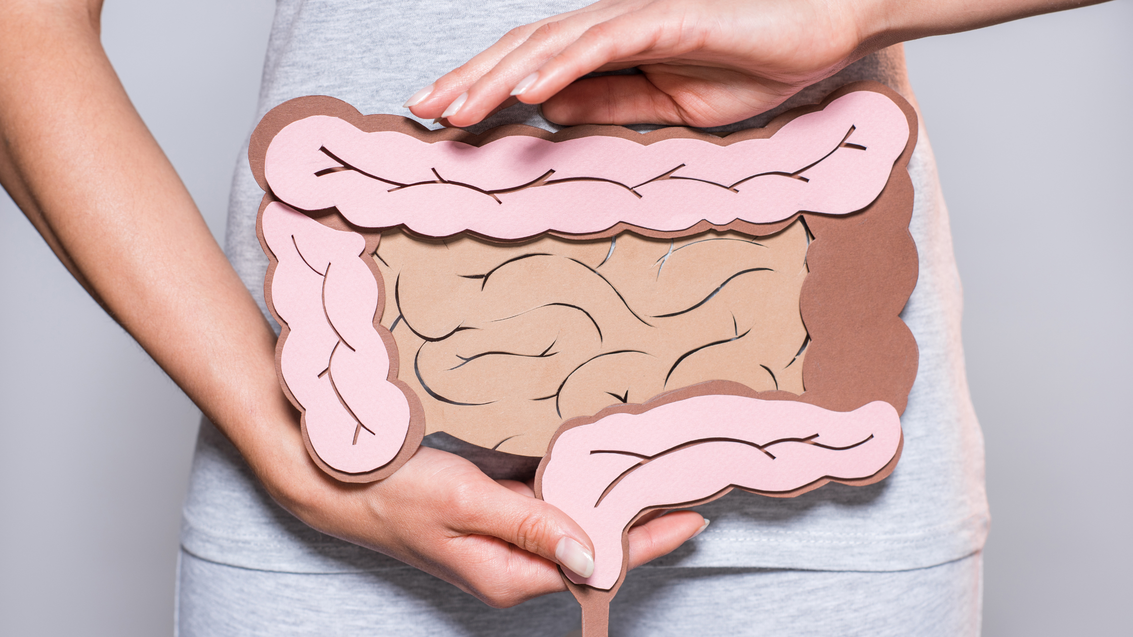 El intestino como raíz de la salud: microbiota, inflamación y absorción de nutrientes