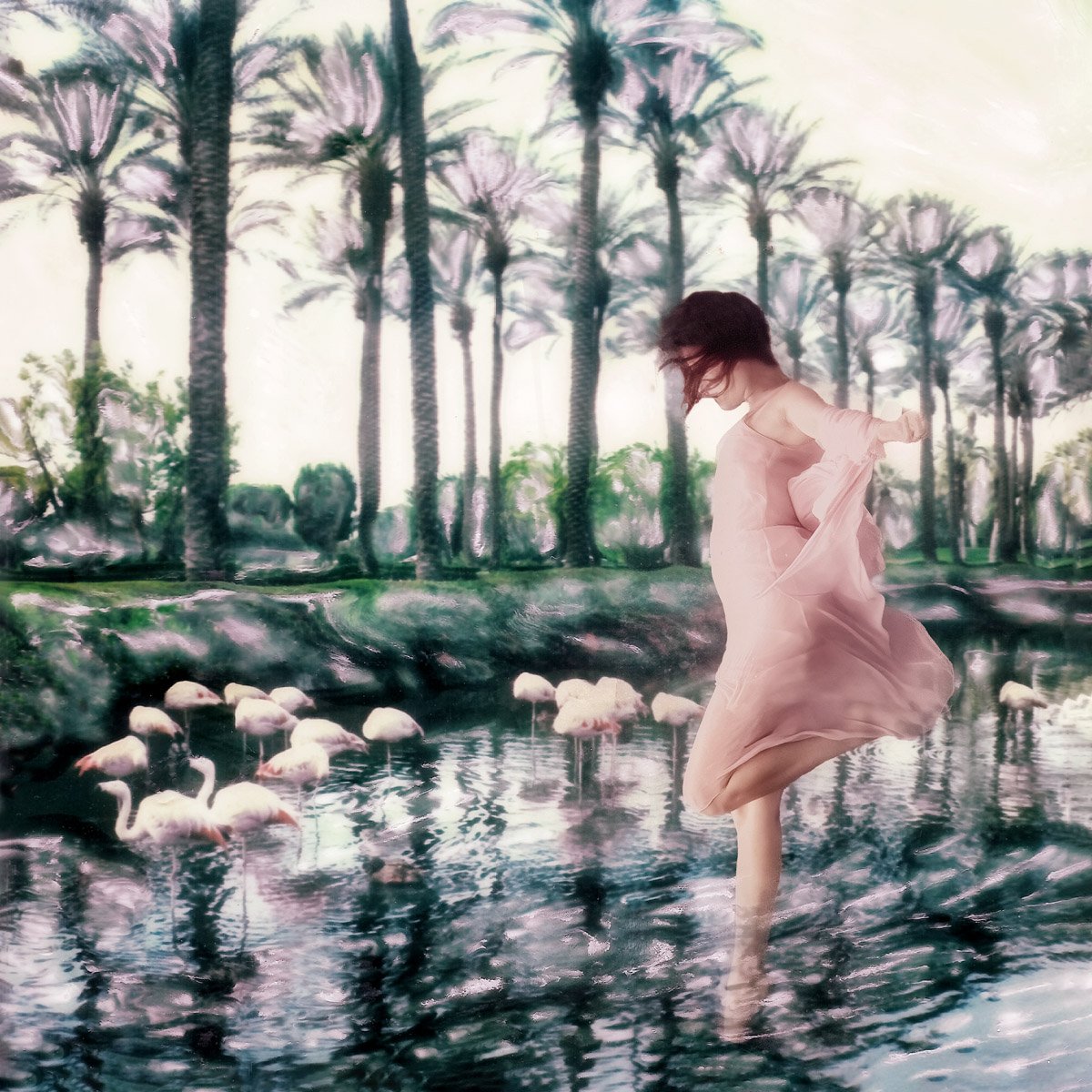 Swan Whispers — Polaroid Emulsion and Underwater Composite