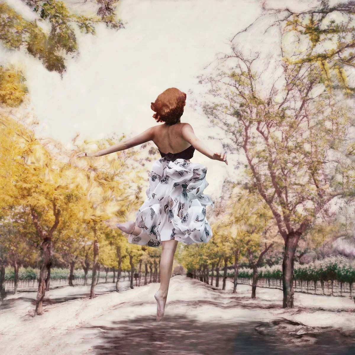 Napa Vineyard — Polaroid Emulsion and Underwater Composite