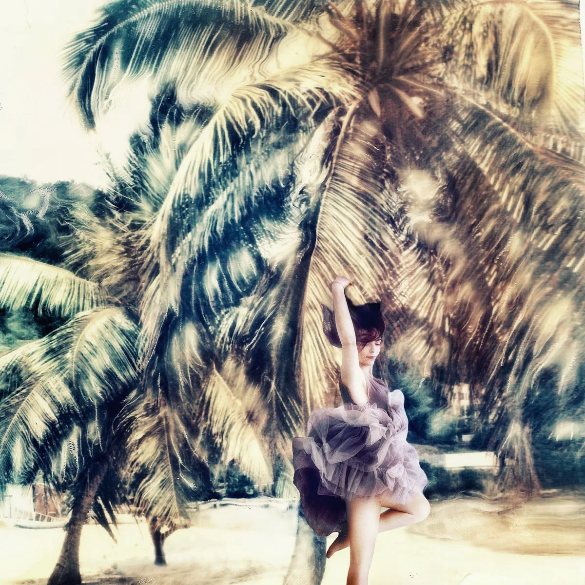 Palms — Polaroid Emulsion and Underwater Composite