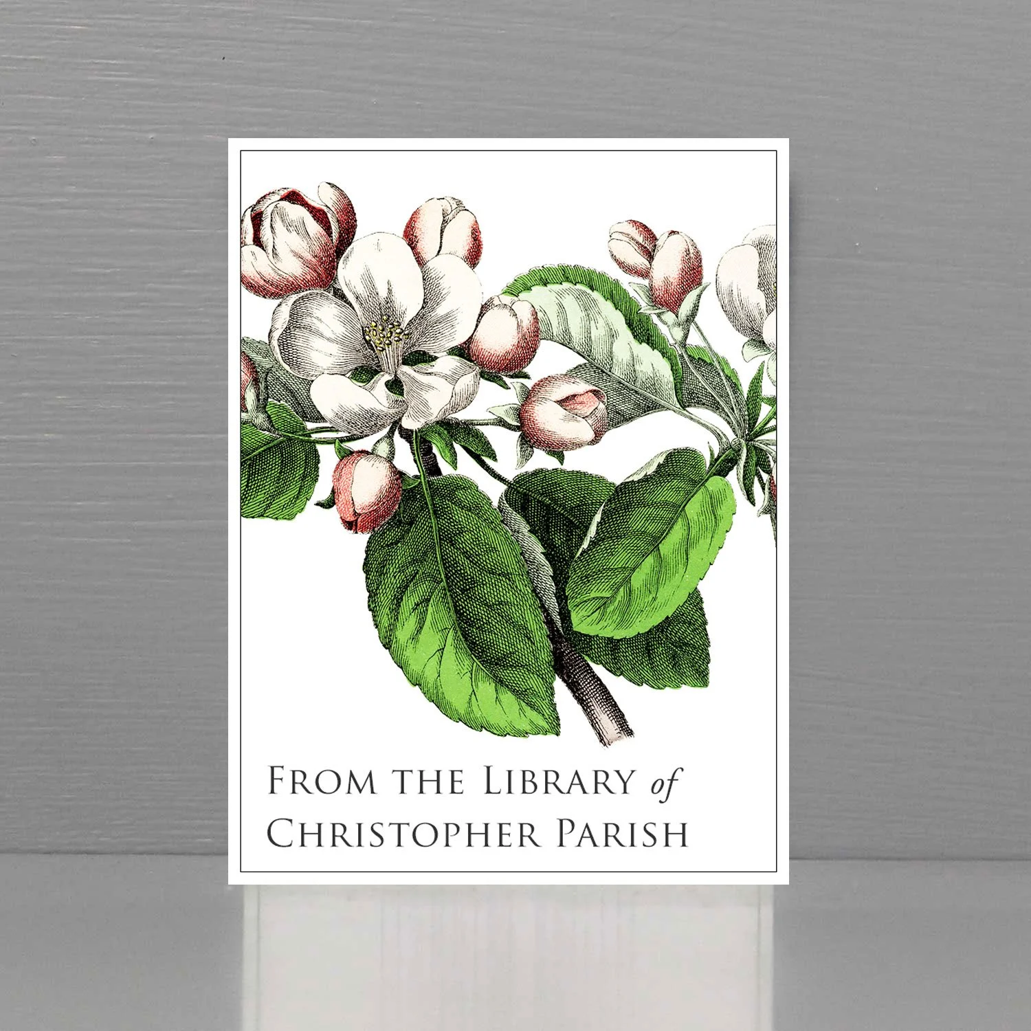 Personalized Bookplate with Apple Blossom Illustration