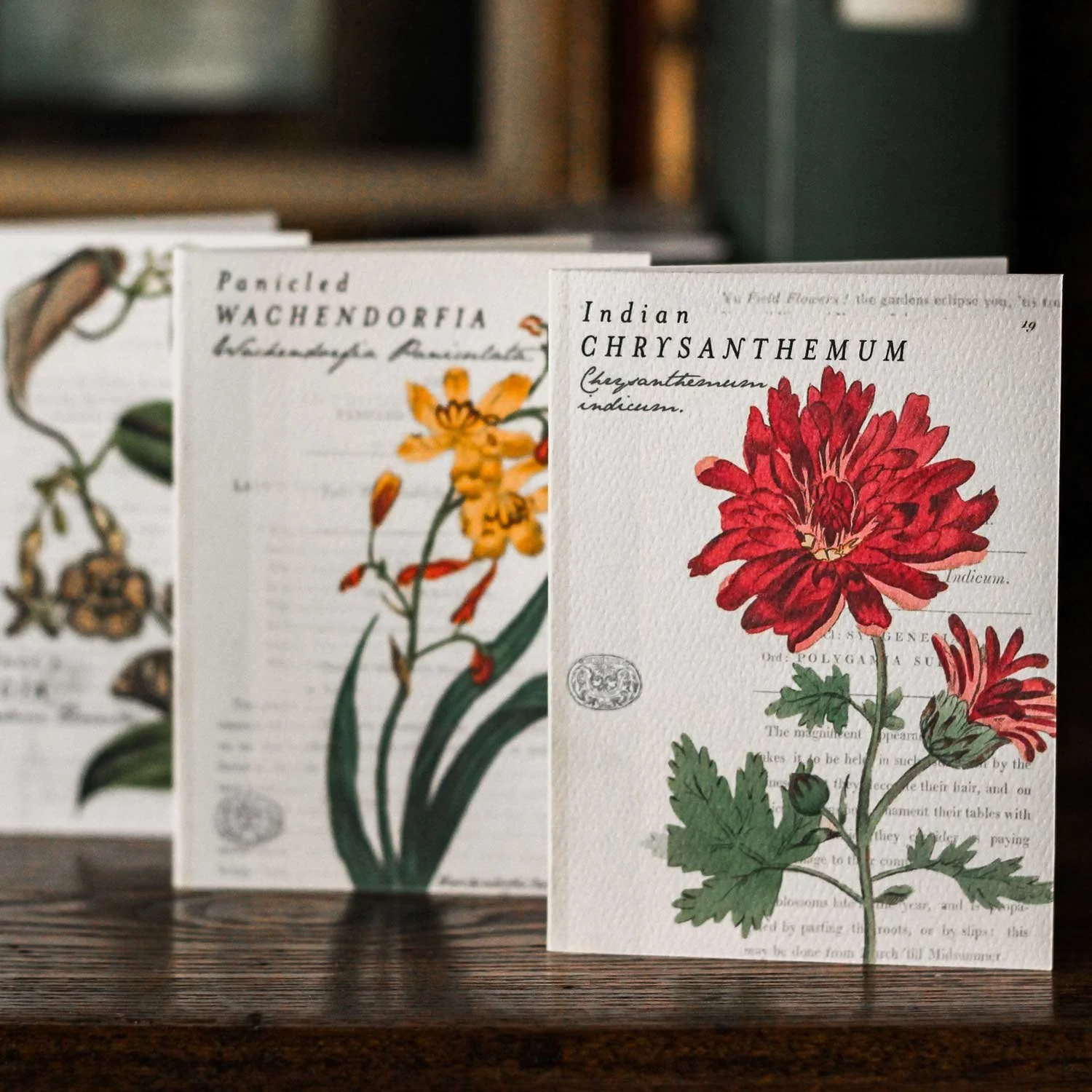 flowers_main_w.jpg