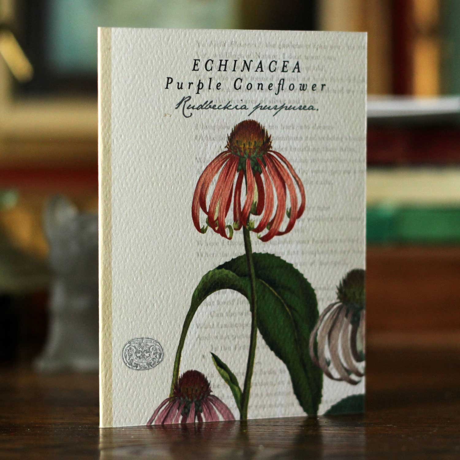 echinacea_card.jpg