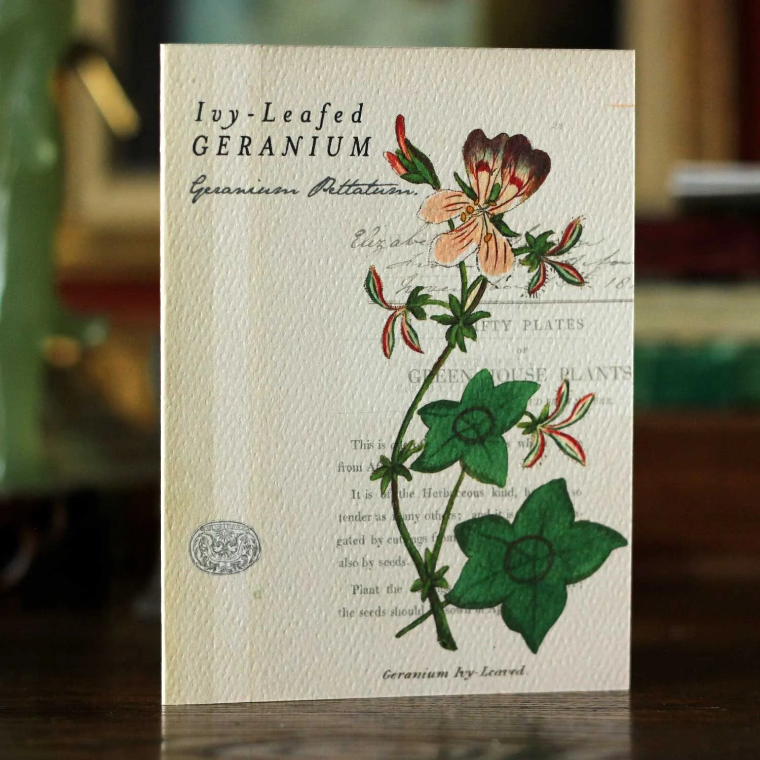 geranium_w.jpg
