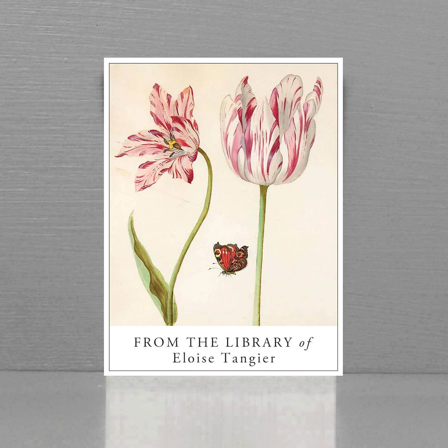 Tulip bookplates with butterfly.
