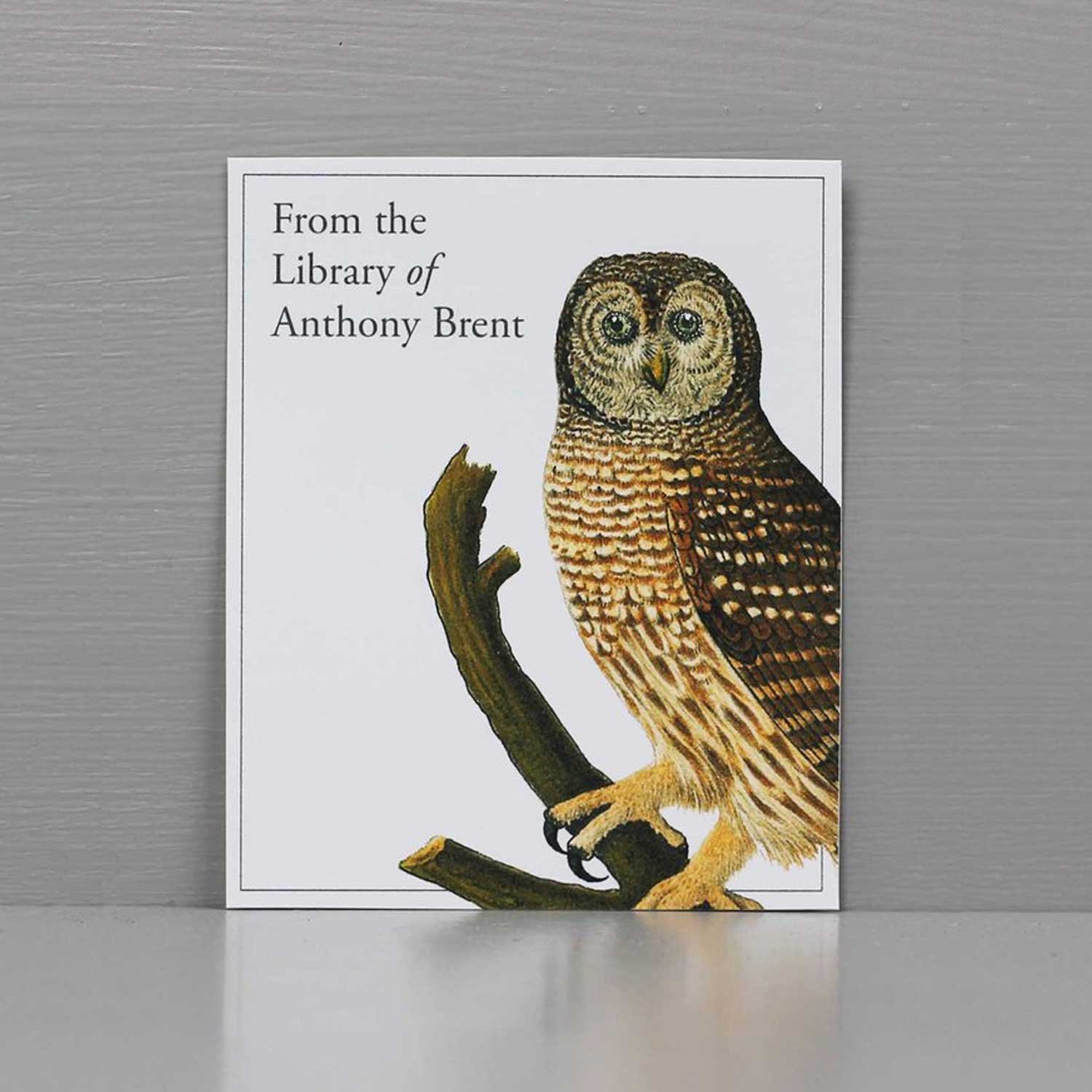 owl-bookplate-with-name.jpg