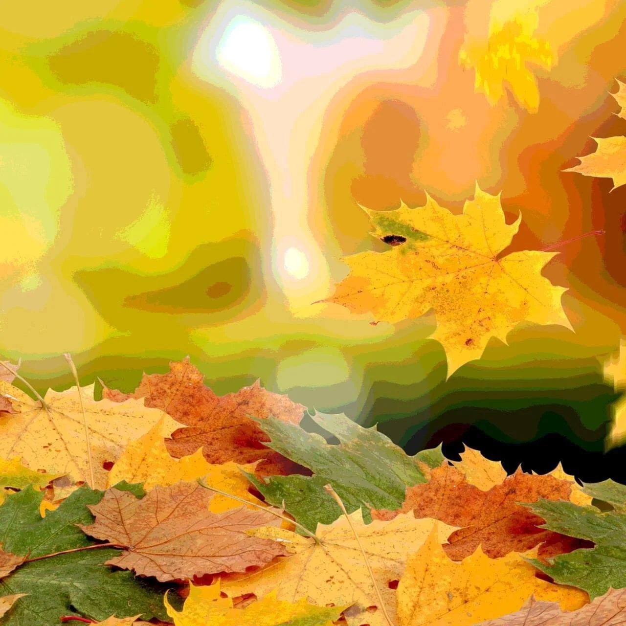 Fall Equinox Festival