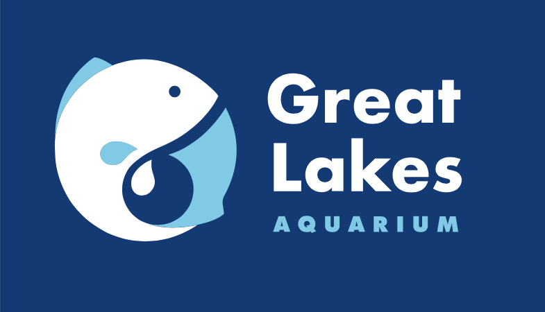 Jazz at the Aquarium