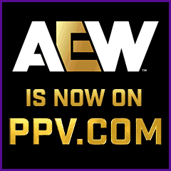 fan-reacts-AEW-Dynasty-ppv.com-240x240.gif