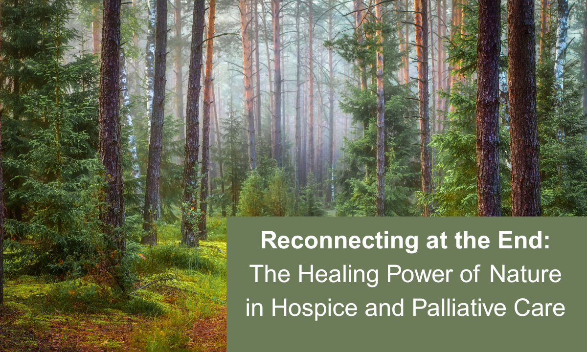 Reconnecting at the End: The Healing Power of Nature in Hospice and Palliative Care