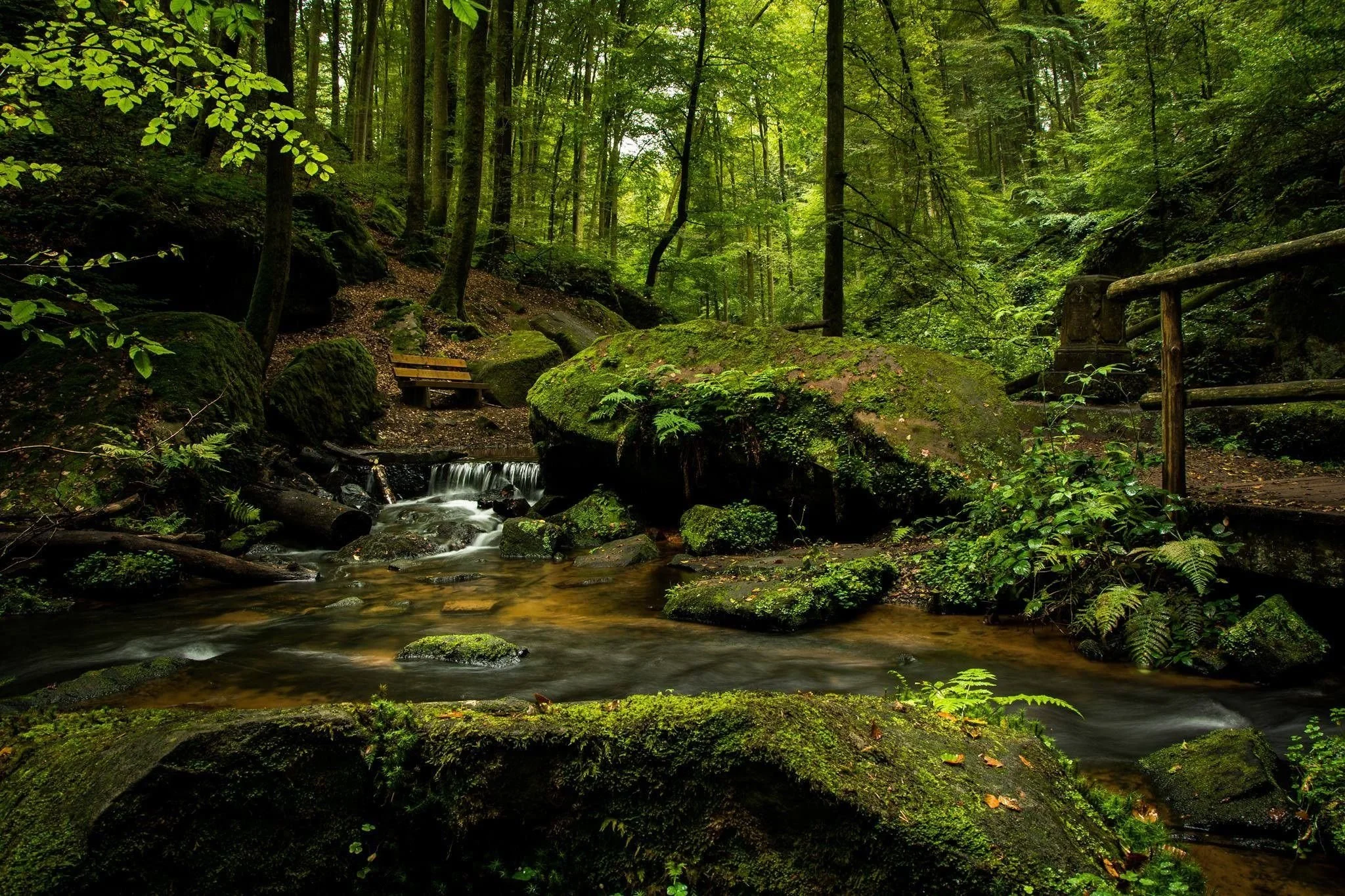 A peaceful forest stream flows over moss-covered rocks beneath a lush green canopy, with a small waterfall, wooden footbridge, and bench nestled among towering trees.