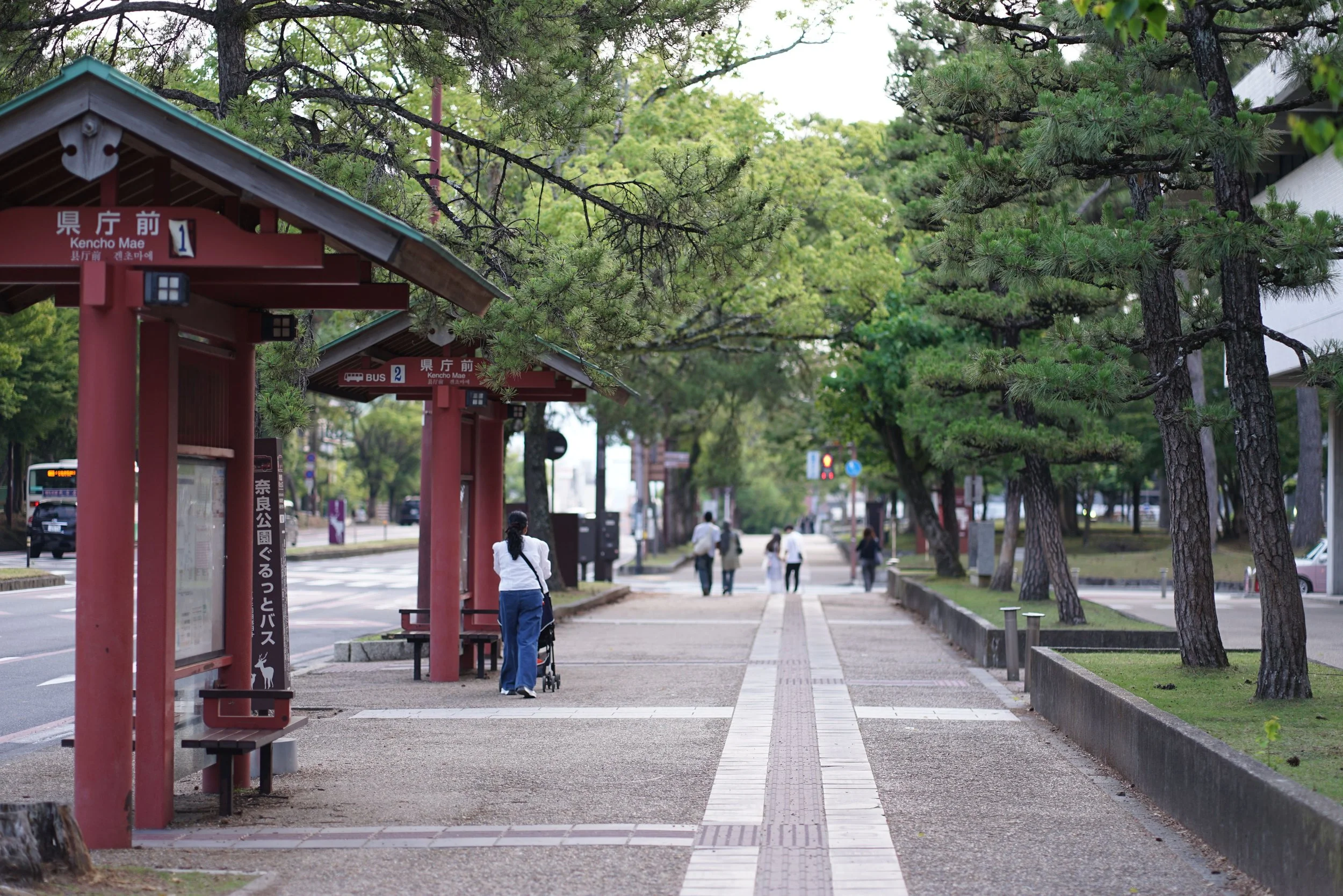 Public transit stop shaded by mature trees with seating and surrounding vegetation.