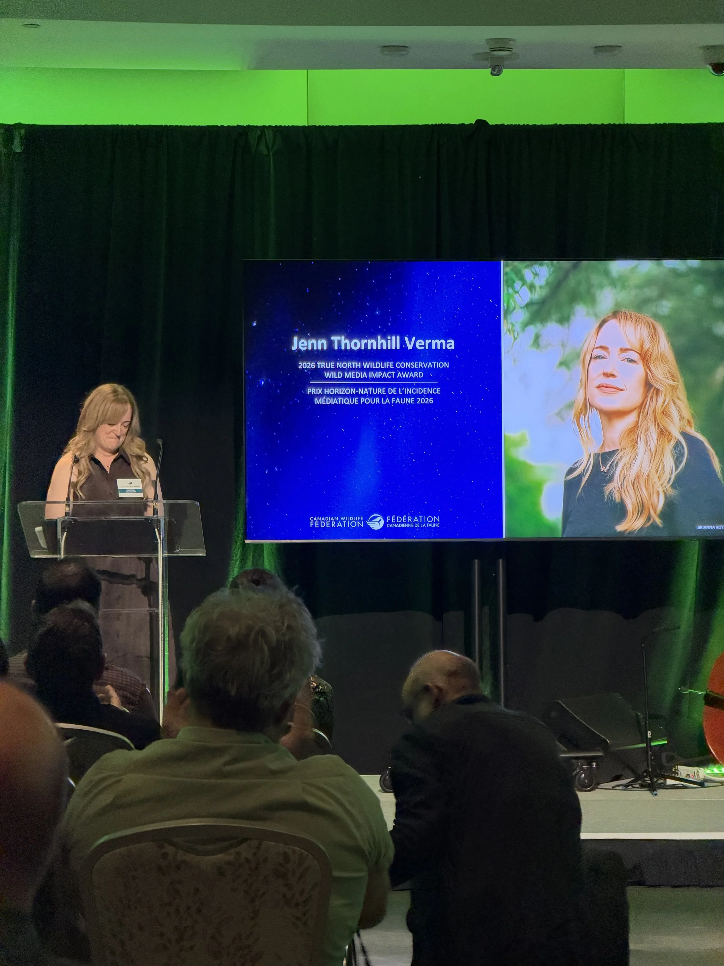 A presenter standing at a transparent podium during the 2026 True North Wildlife Conservation Awards, beside a large screen displaying Jenn Thornhill Verma's photograph and recognition as recipient of the Wild Media Impact Award.