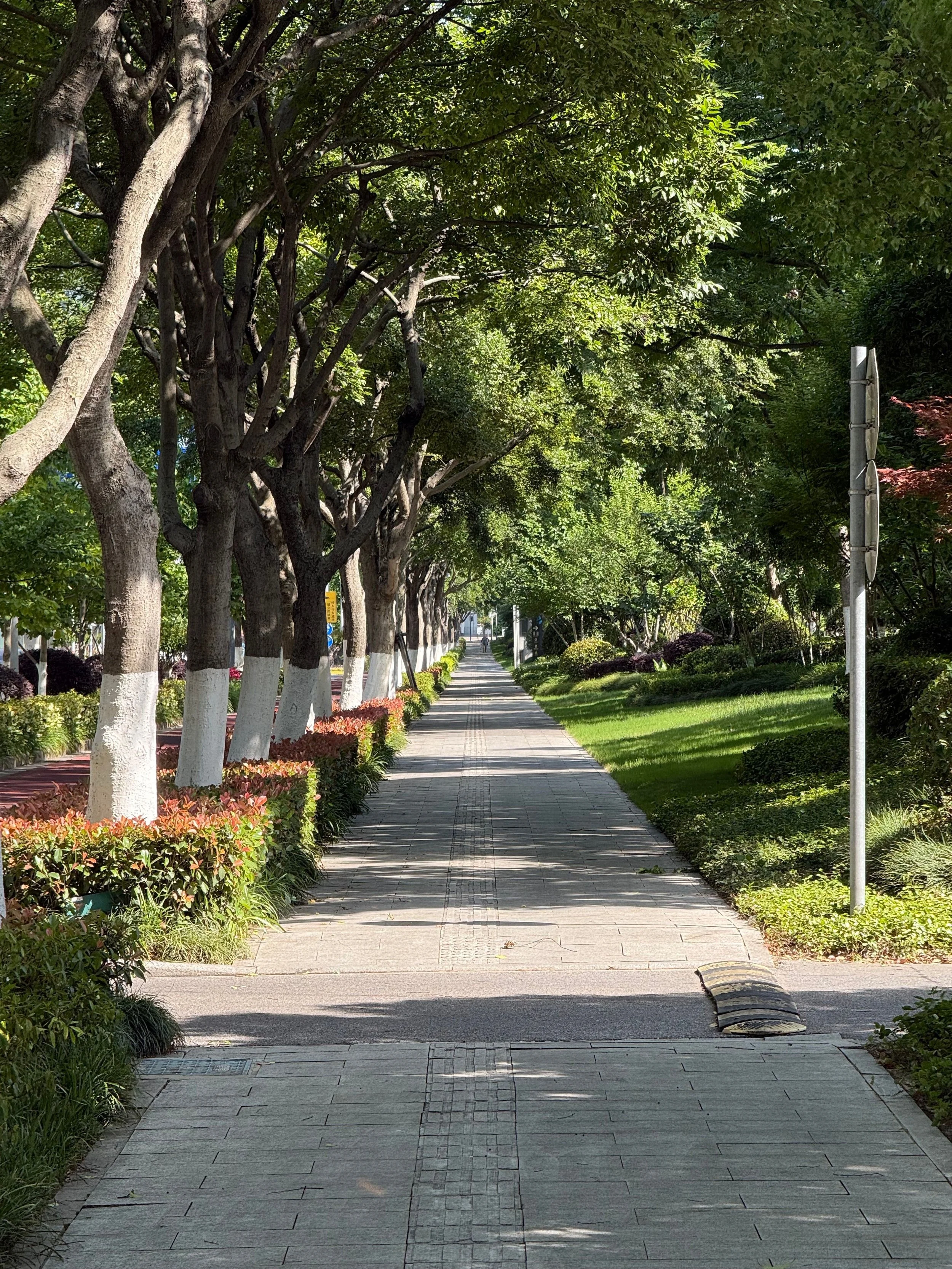 A wide, tree-lined sidewalk stretches into the distance beneath a dense canopy of mature shade trees, bordered by manicured lawns, shrubs, and landscaped gardens that create a cool, green urban streetscape.