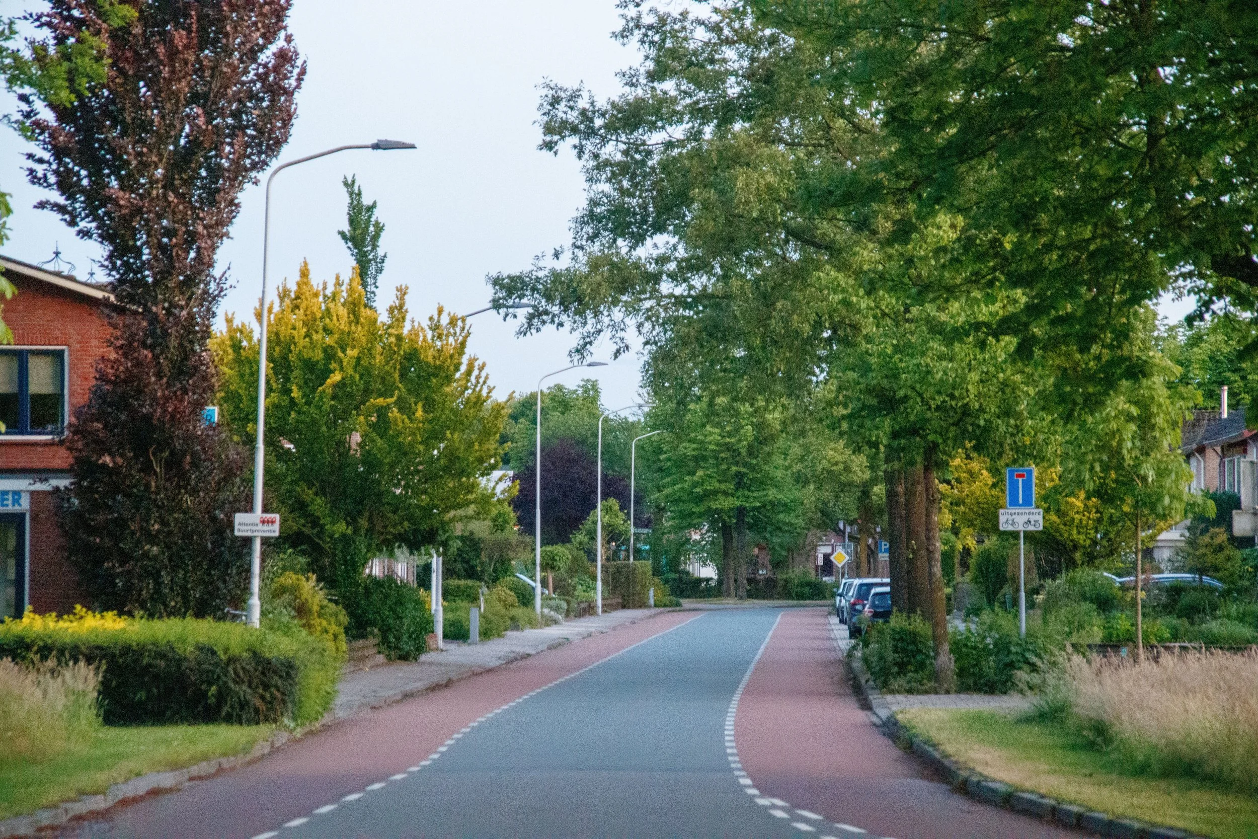 A leafy residential street with large mature trees, landscaped gardens, and a separated cycling lane, creating a cool, tree-canopied neighborhood designed for walking and cycling.