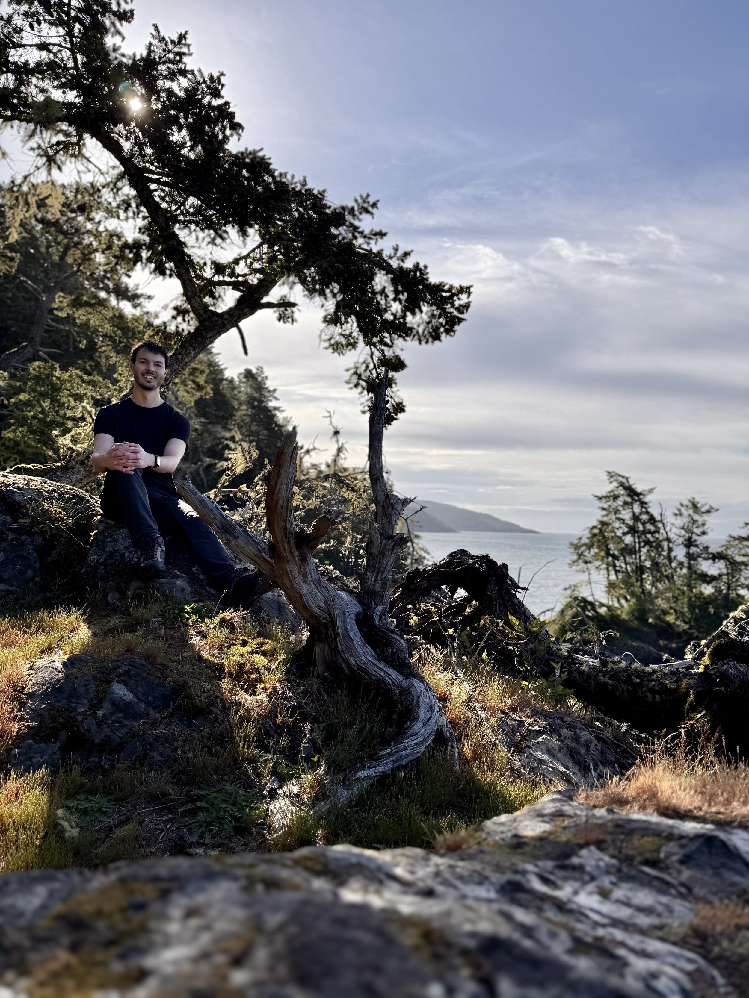 A man sits on a rocky coastal hillside beneath a windswept evergreen tree, overlooking the ocean and forested shoreline as late afternoon sunlight filters through the branches, creating a peaceful natural setting.