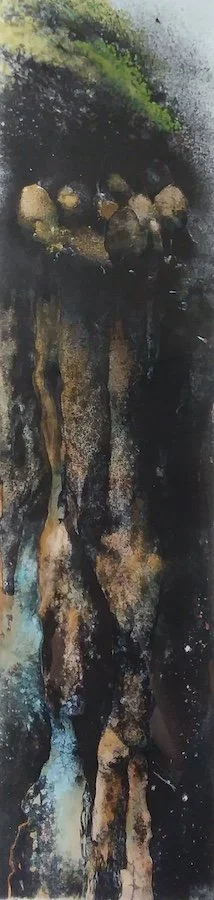 Life Beneath the Surface