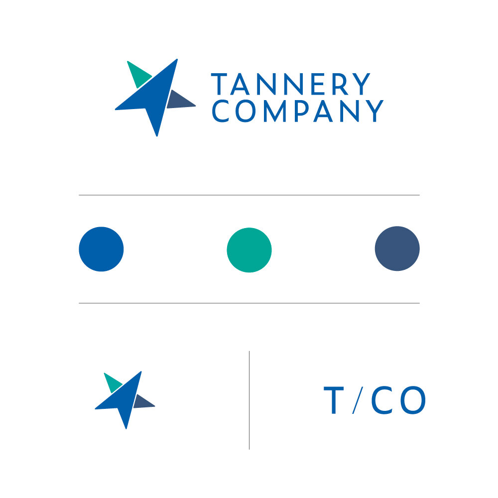 Blue Logo Design and Color Palette by Dallas Branding Agency and Marketing Agency