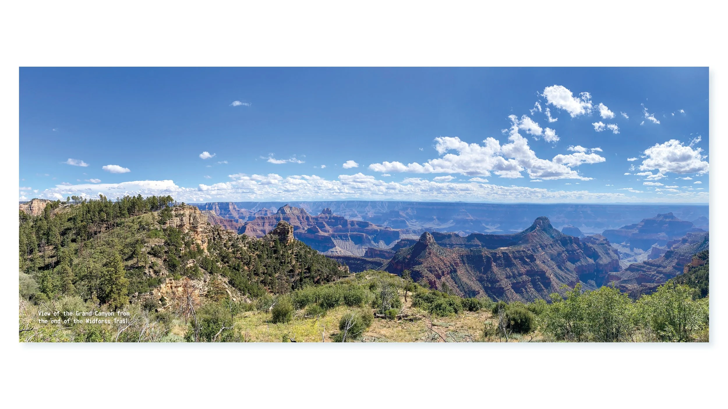 UTAH Portfolio Presi2.jpg