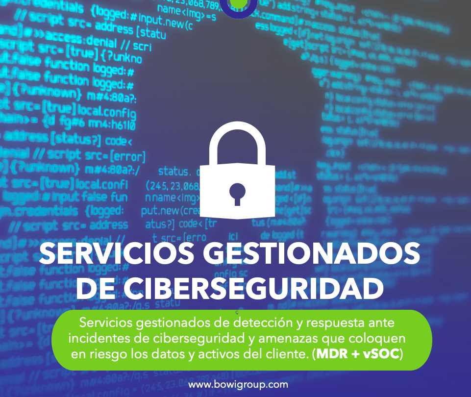 BOWI - 5 Servicios Gestionados de Ciberseguridad.png