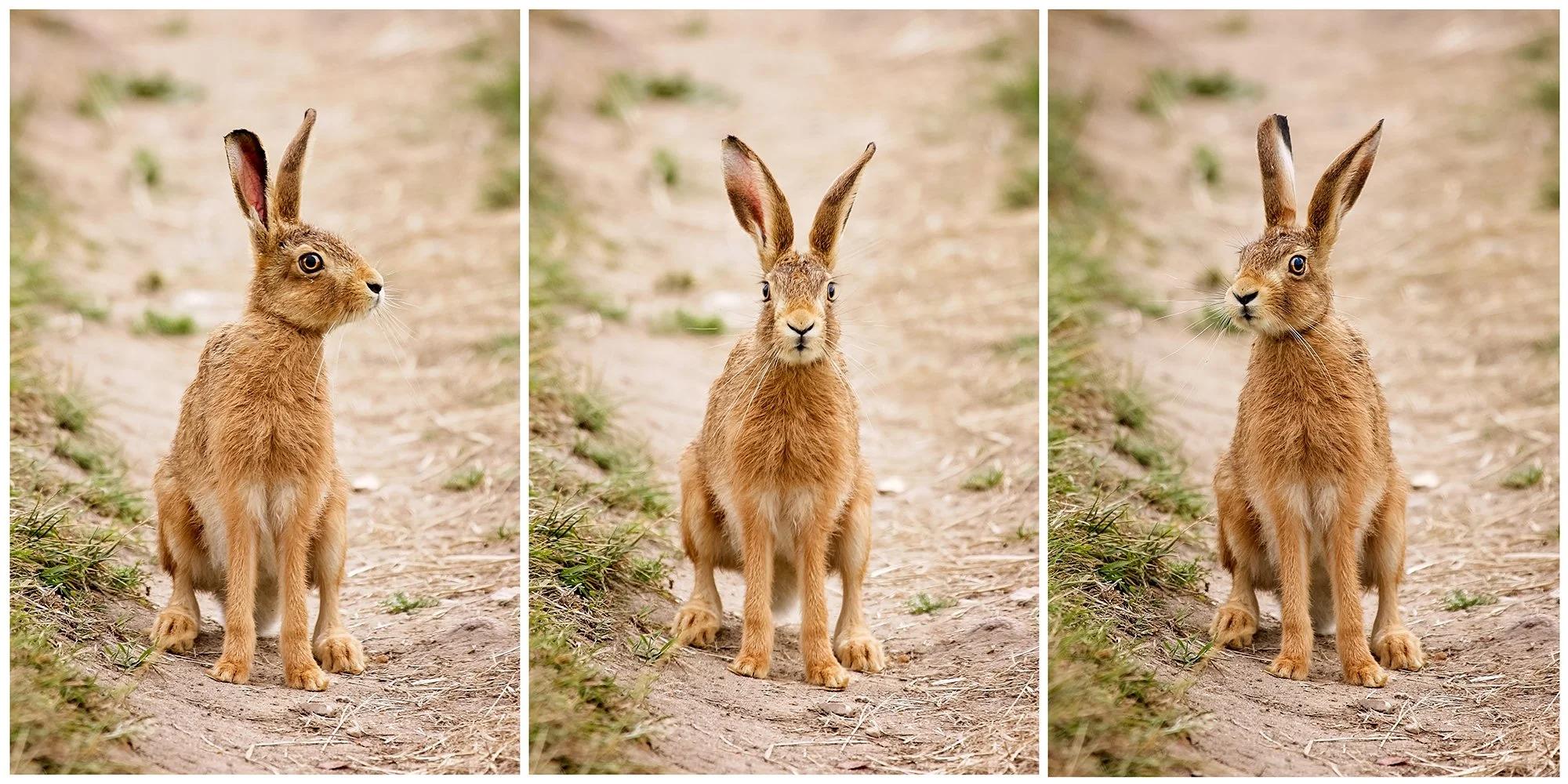 The Norfolk Photographer - Essential Camera Skills Group Course