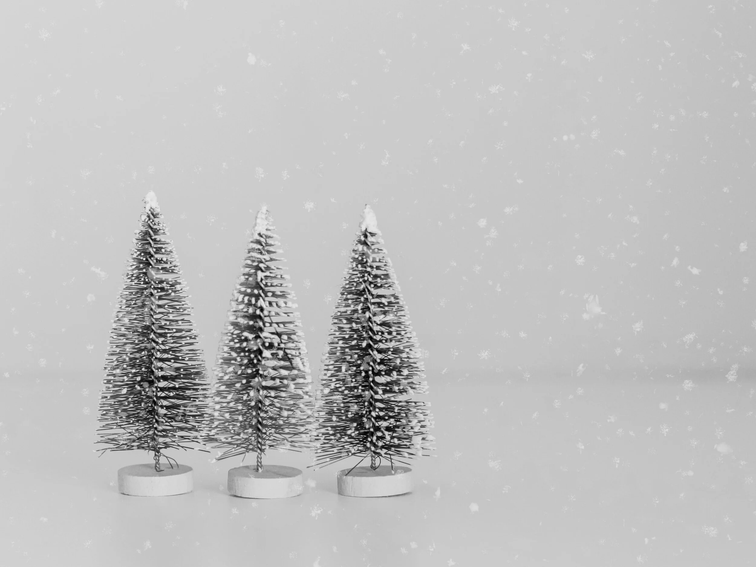 Happiest of Holidays