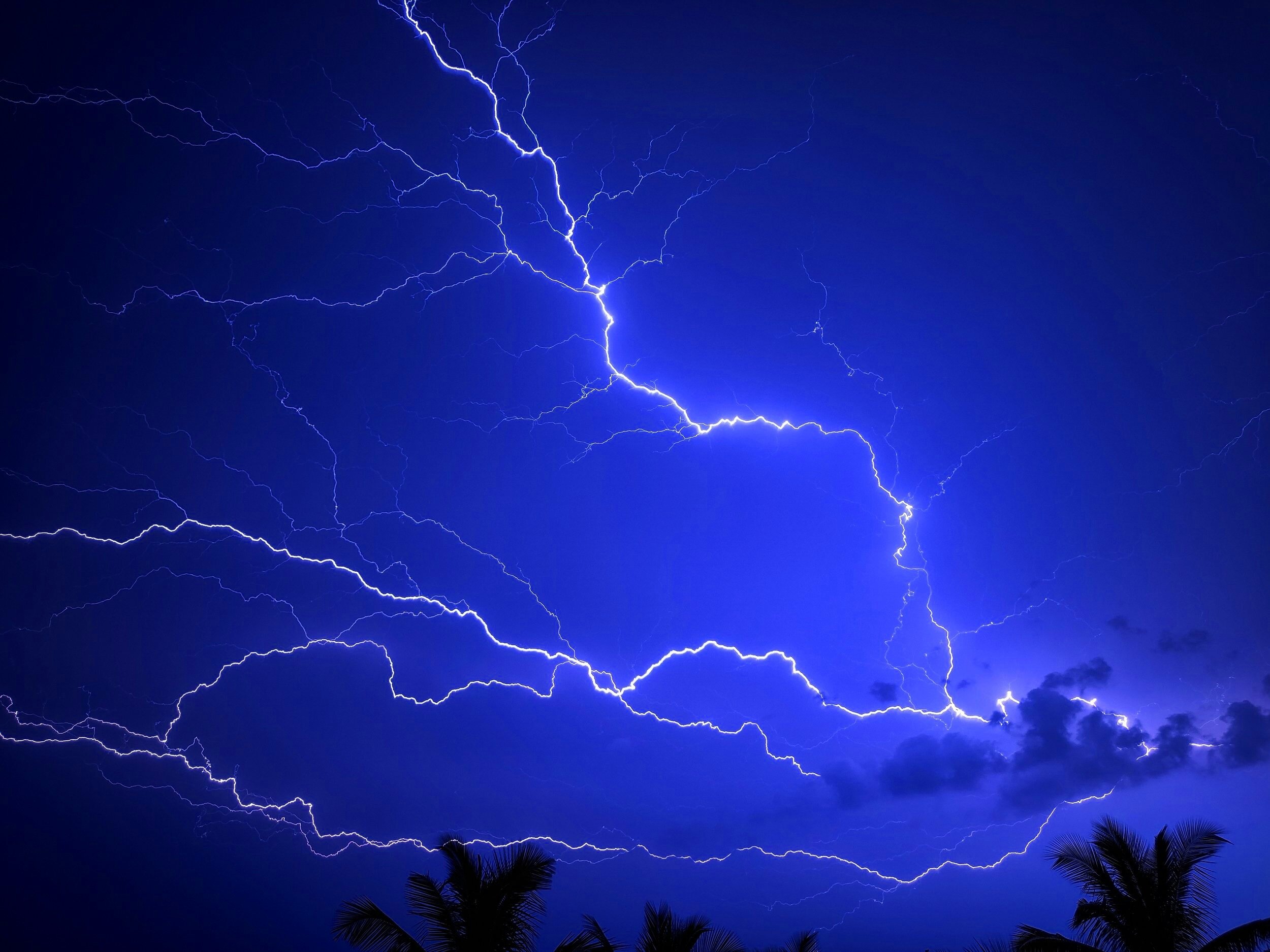 Feeling Electric?