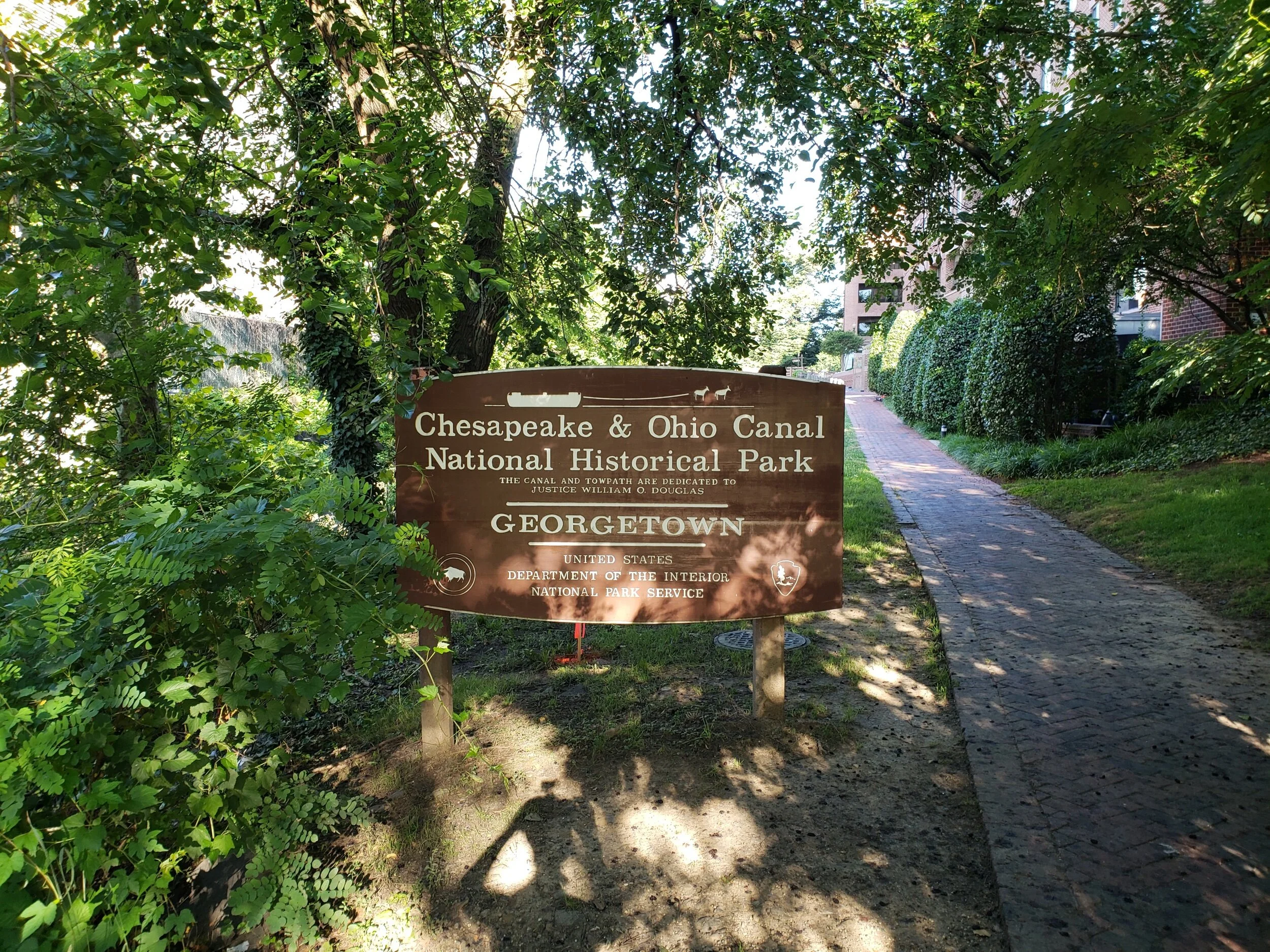 2021-06-17 07.53.42.jpeg