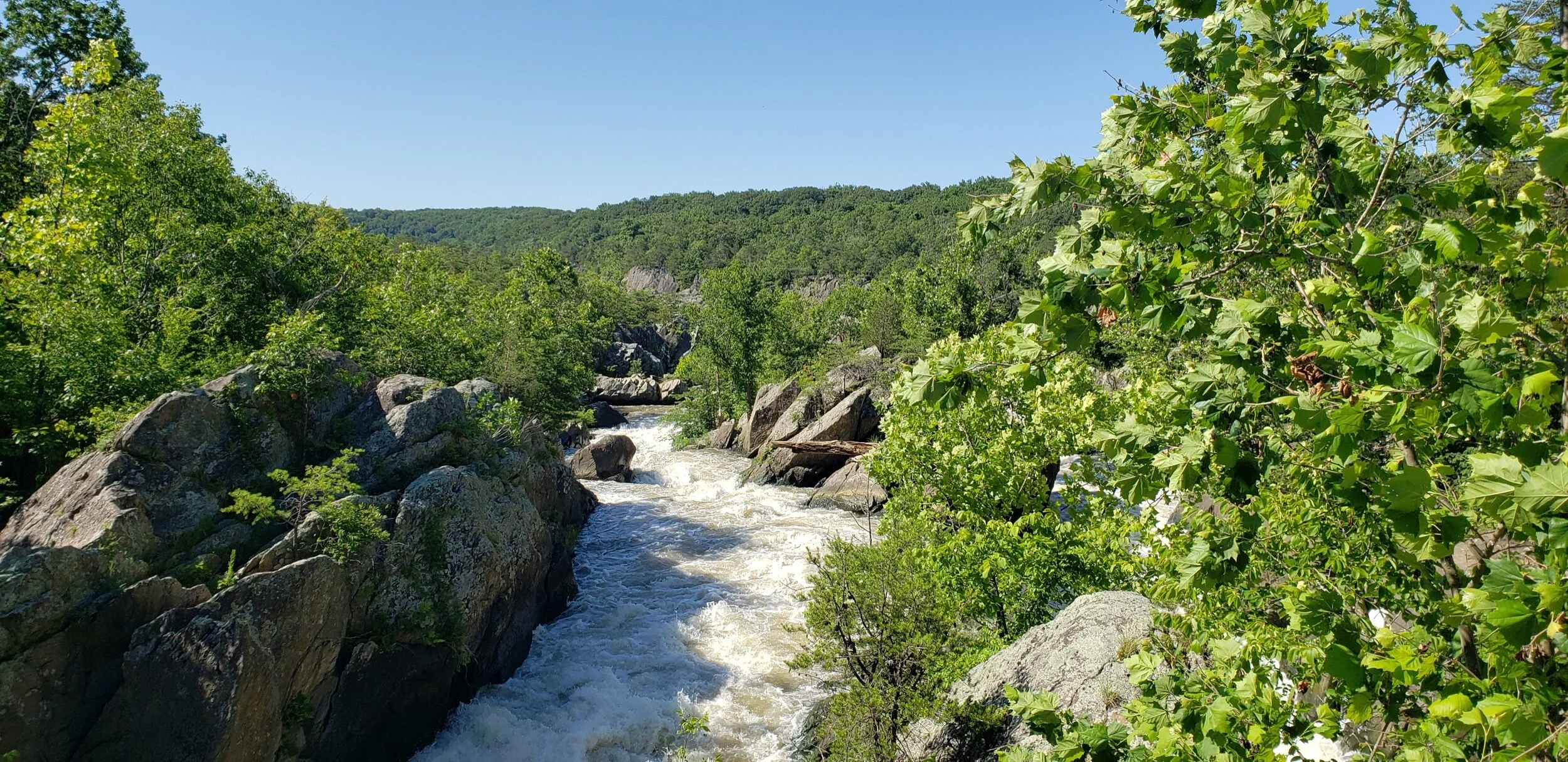 2021-06-17 09.49.28.jpeg