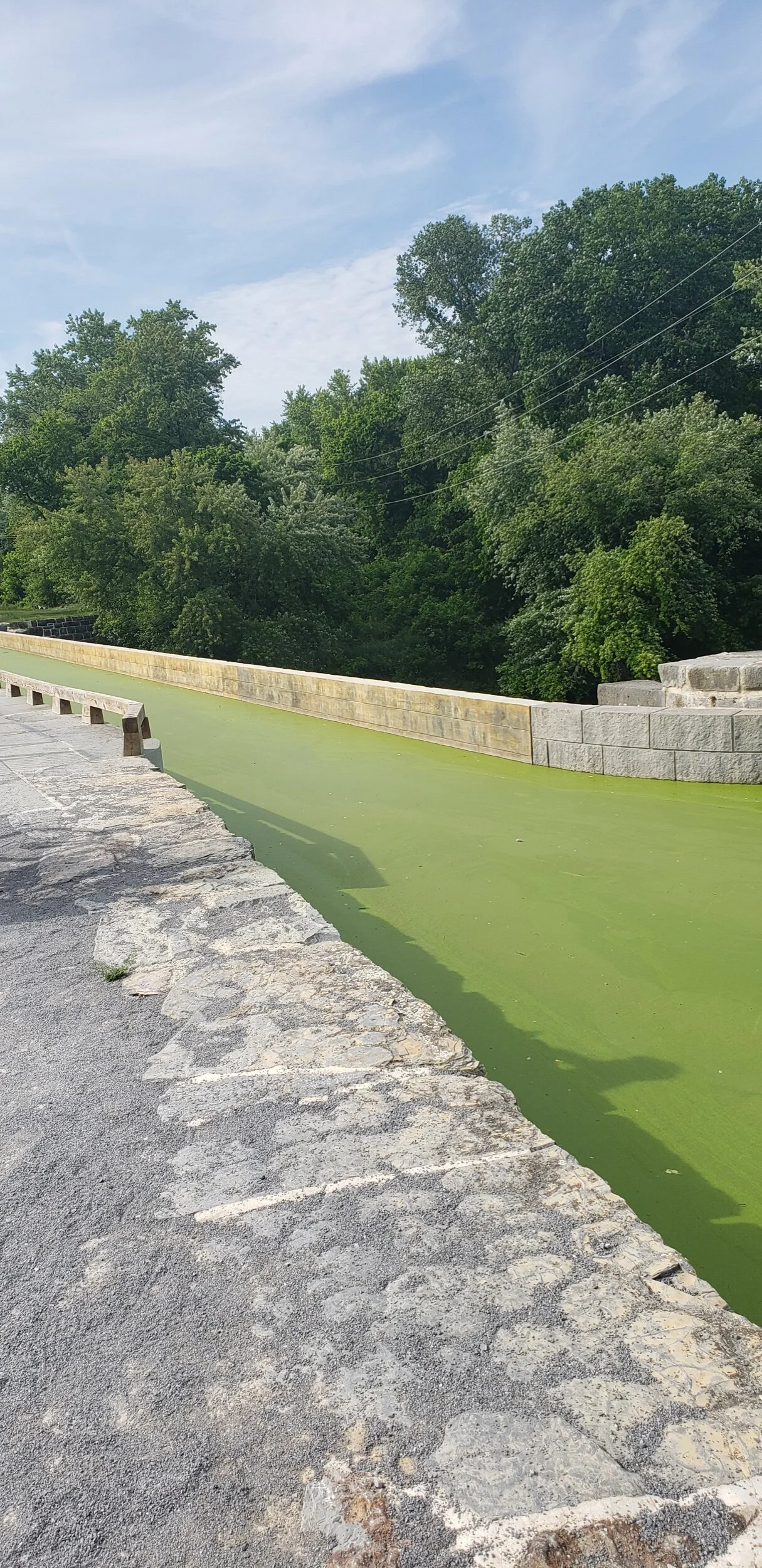 2021-06-18 17.11.44.jpeg