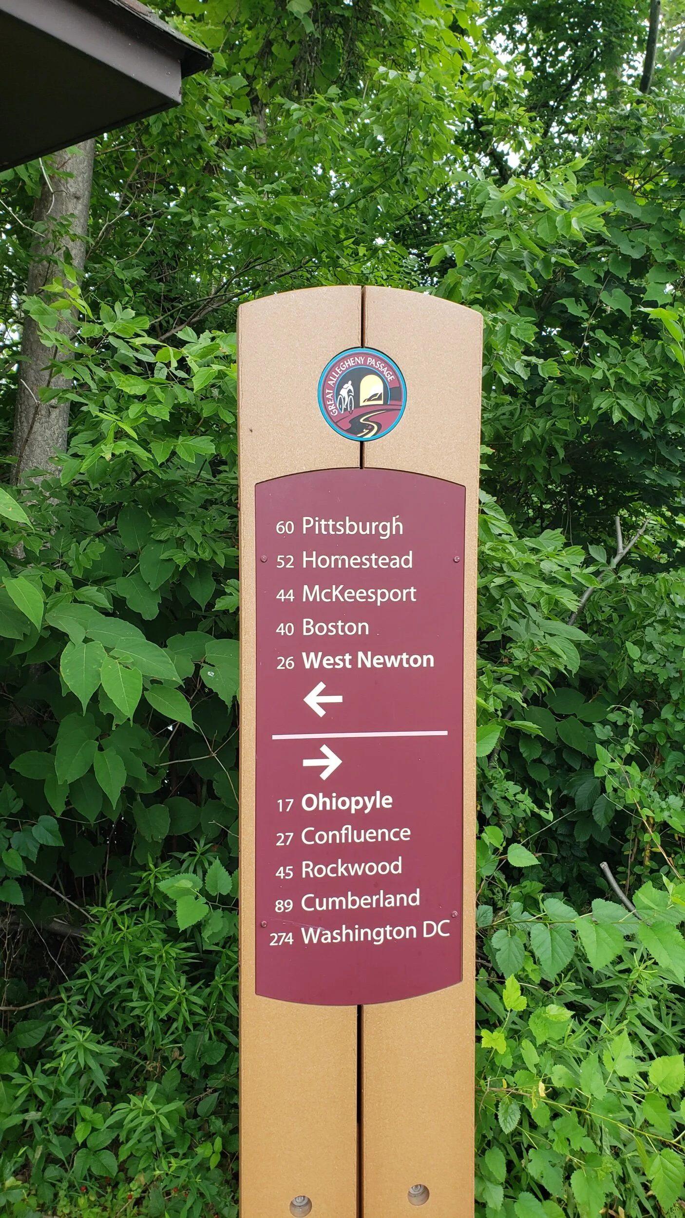 2021-06-21 14.23.07.jpeg