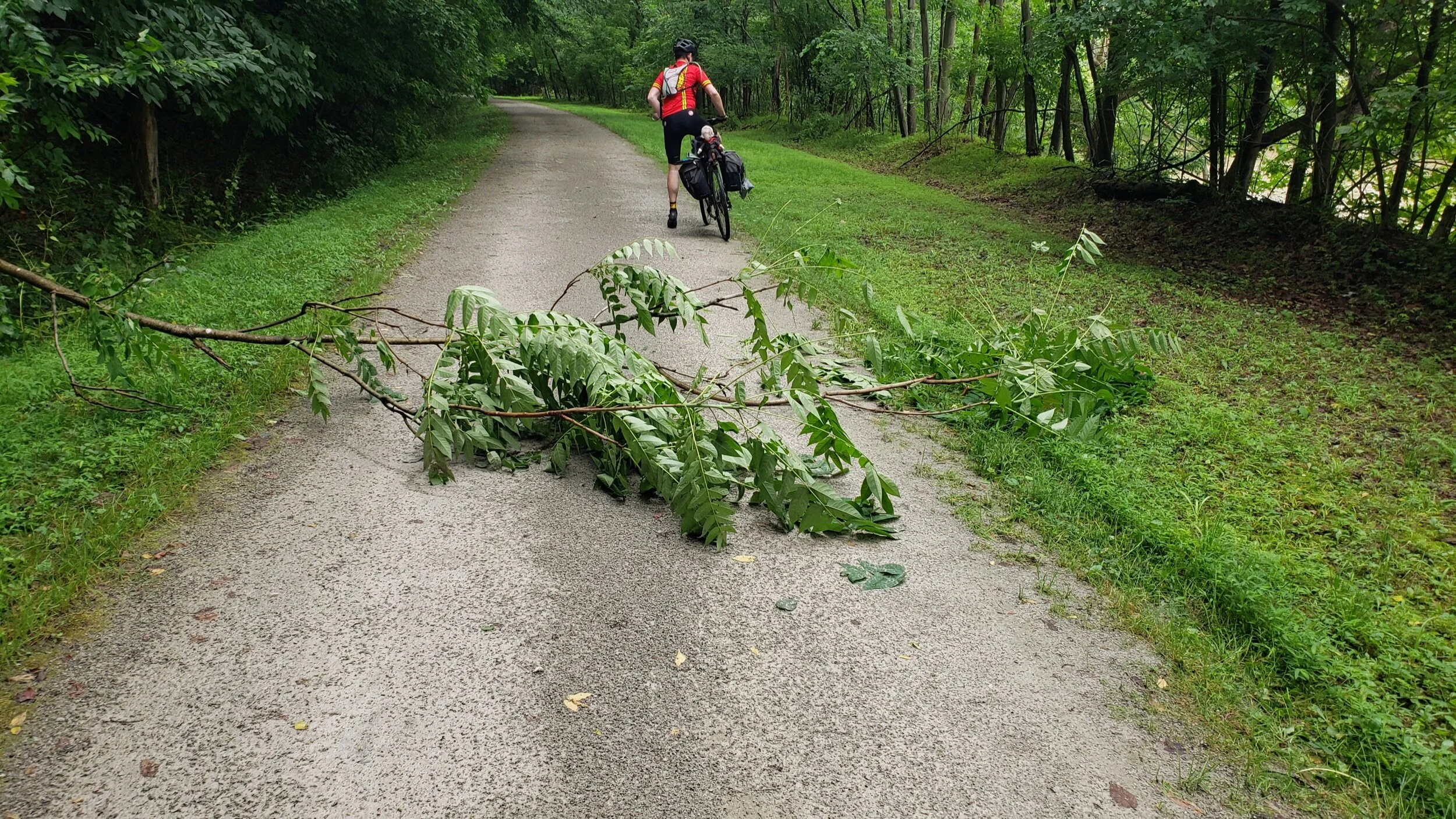 2021-06-22 10.14.37.jpeg