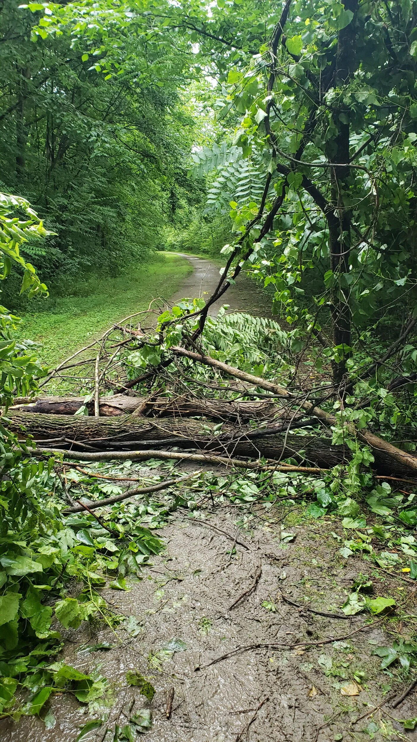 2021-06-22 10.47.01.jpeg