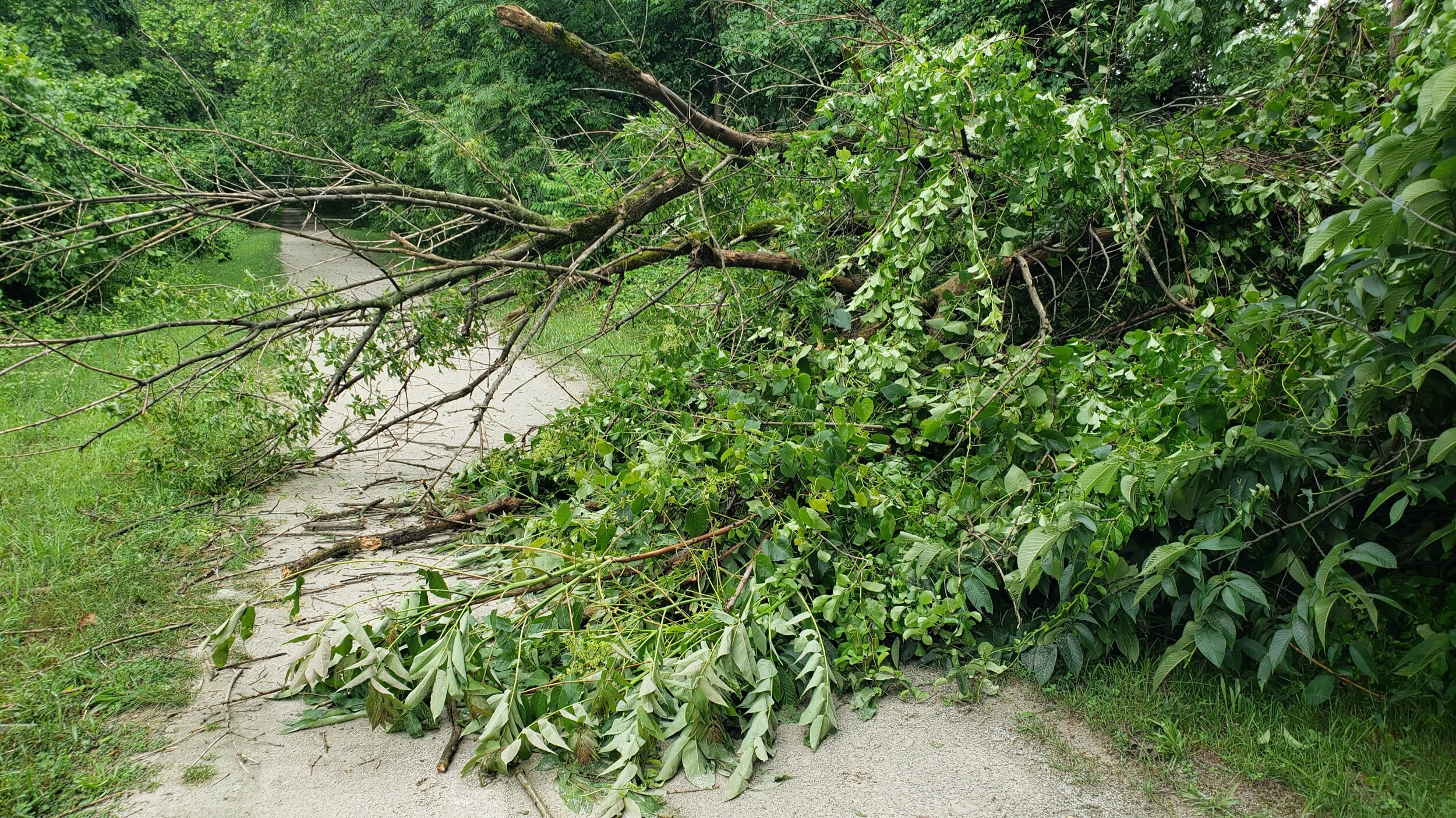 2021-06-22 09.50.34.jpeg