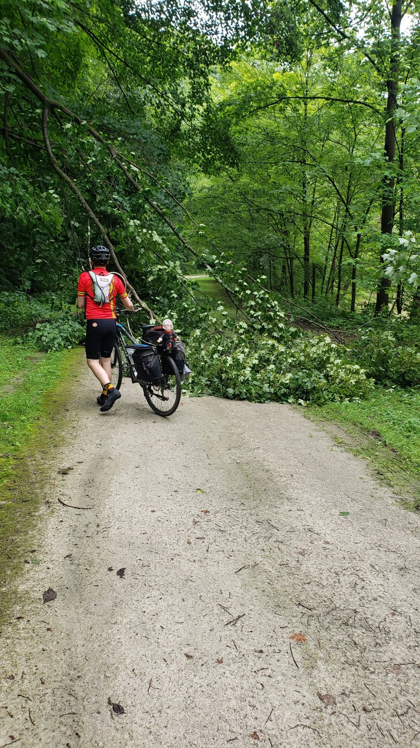 2021-06-22 10.09.33.jpeg