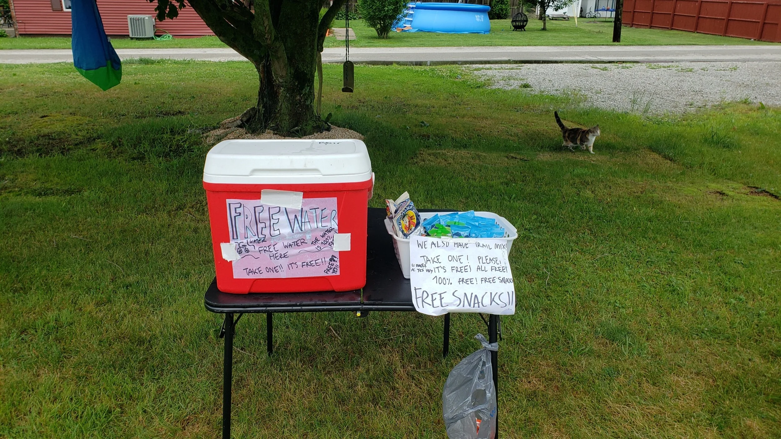 2021-06-22 11.07.21.jpeg