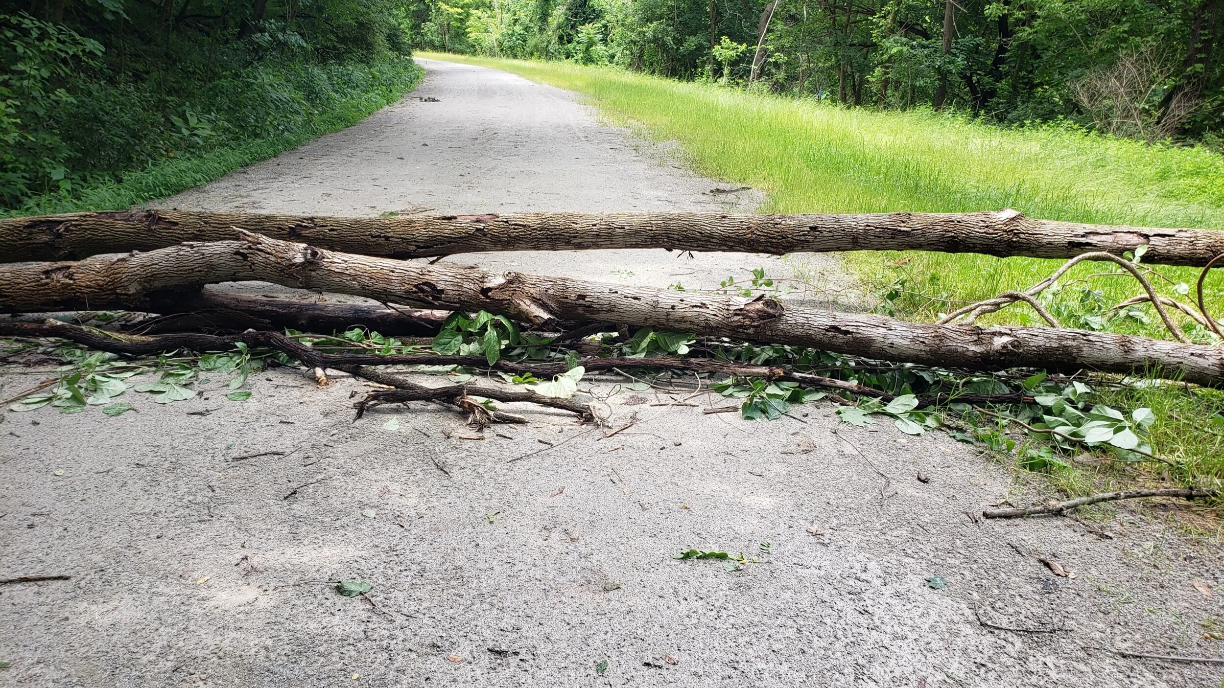 2021-06-22 13.45.08.jpeg