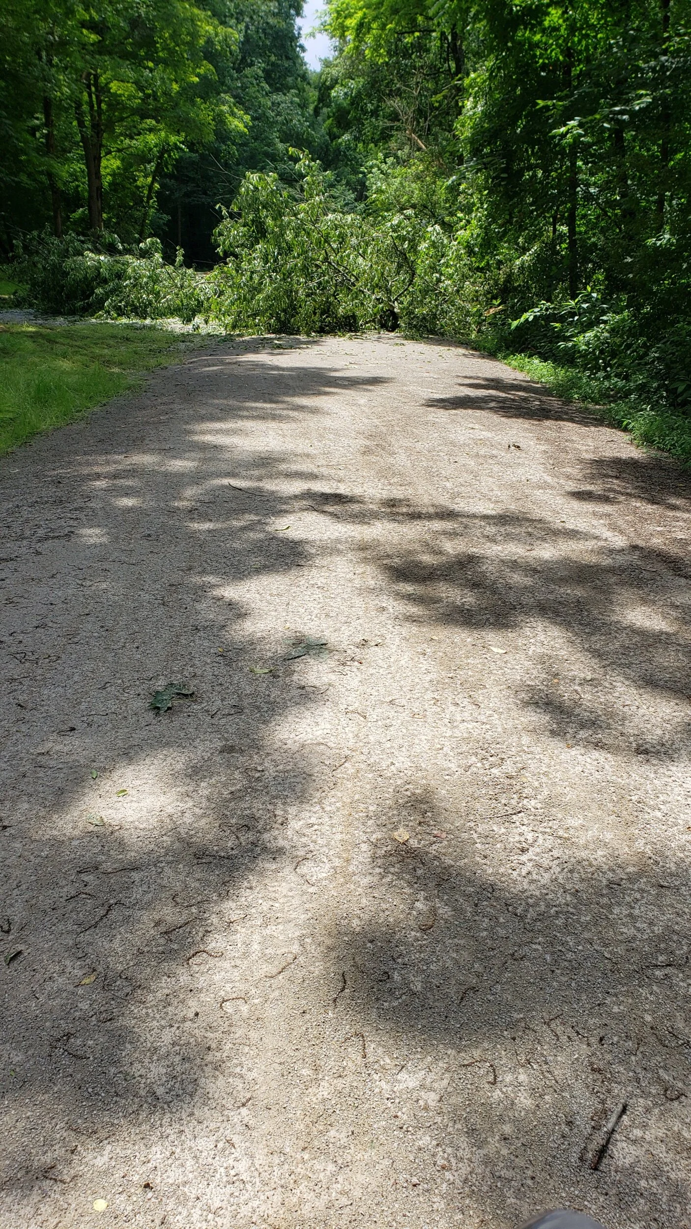 2021-06-22 13.49.47.jpeg